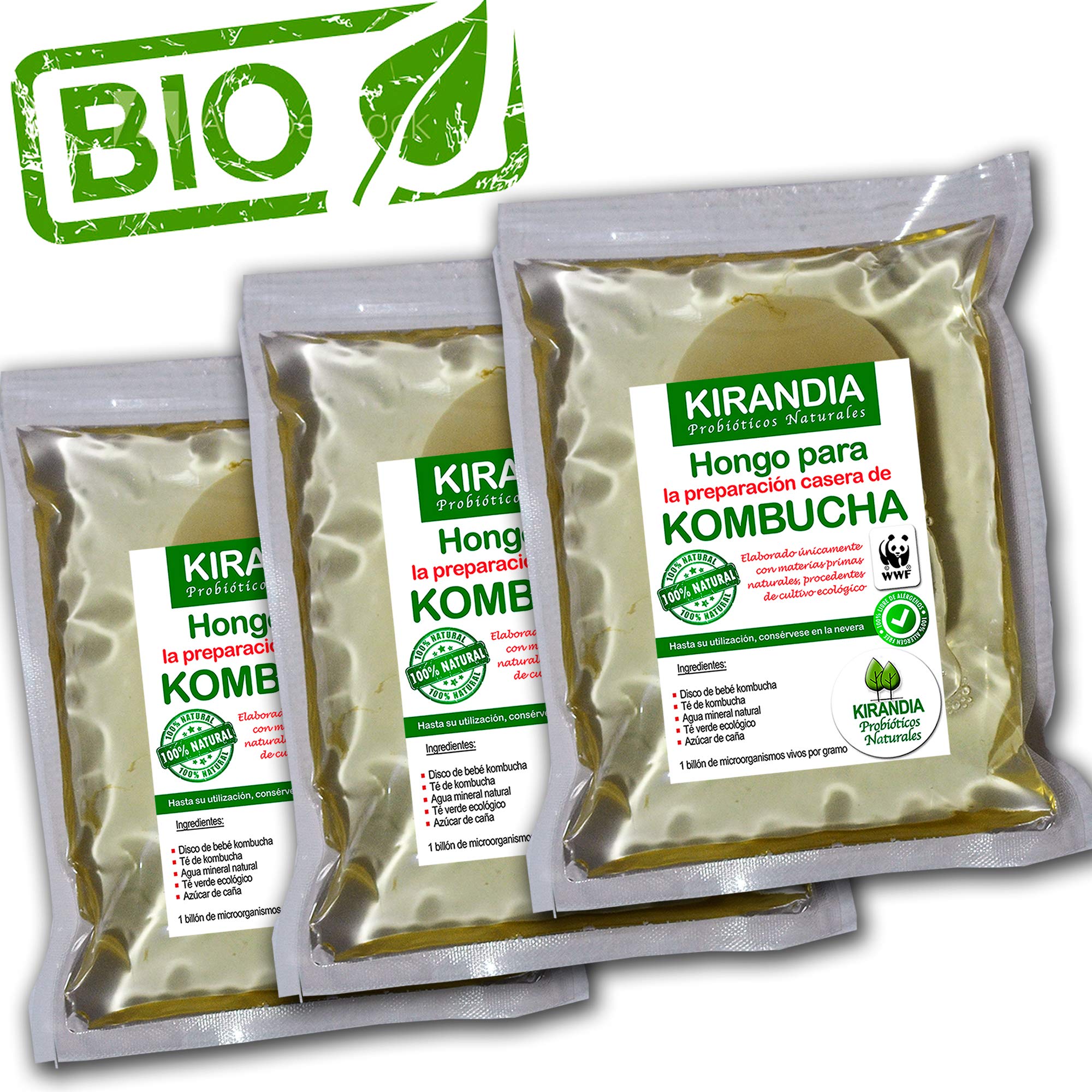 3 x BEBÉ KOMBUCHA FRESCO, SCOBY KOMBUCHA - Con Registro Sanitario (RGSEAA) - Elabora Tu Propio Té de Kombucha Biológico en Casa