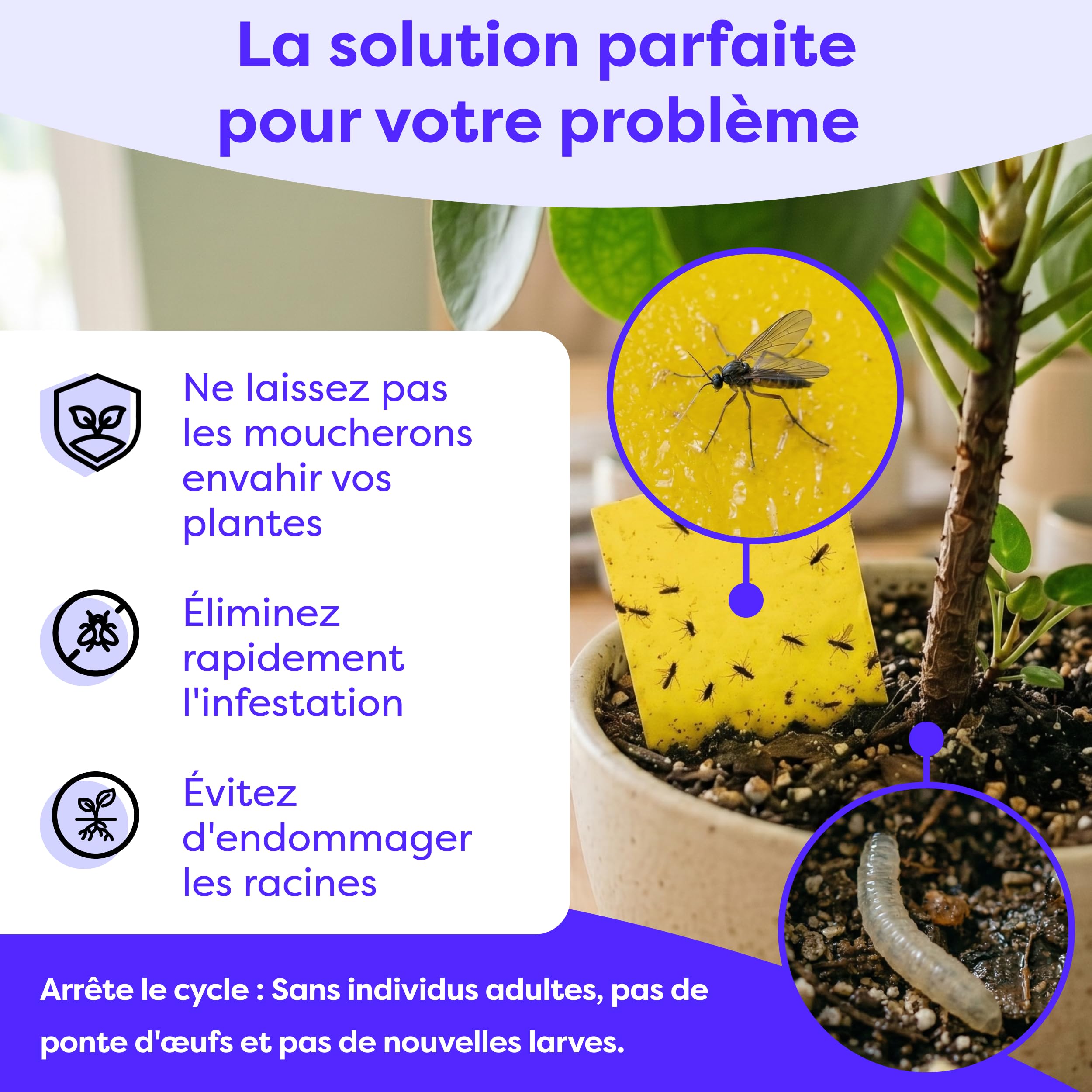 Wolkenfeld Piège à Moucherons Plantes 30 Pièces Stickers Jaunes – Anti Moucherons Interieur, Attrape Moucheron Adhésif Double Face, sans Insecticide – Plantes d’Intérieur & Serre – Made in Germany