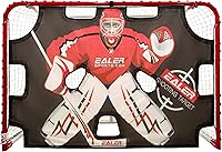 EALER 6x4 Hockey Goal with 11 Shooting Targets - Portable Street & Ice Net, Heavy-Duty 2" Steel Frame, Tear-Proof, Easy Backyard Setup