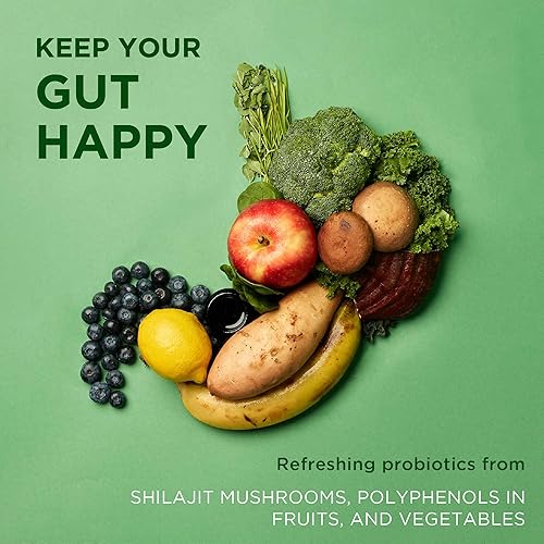 Miniatura 6 de Laird Superfood Activate - Suplemento diario prebiótico para bebidas en polvo polvo Shilajit del Himalaya y hongos funcionales apoya el microbioma