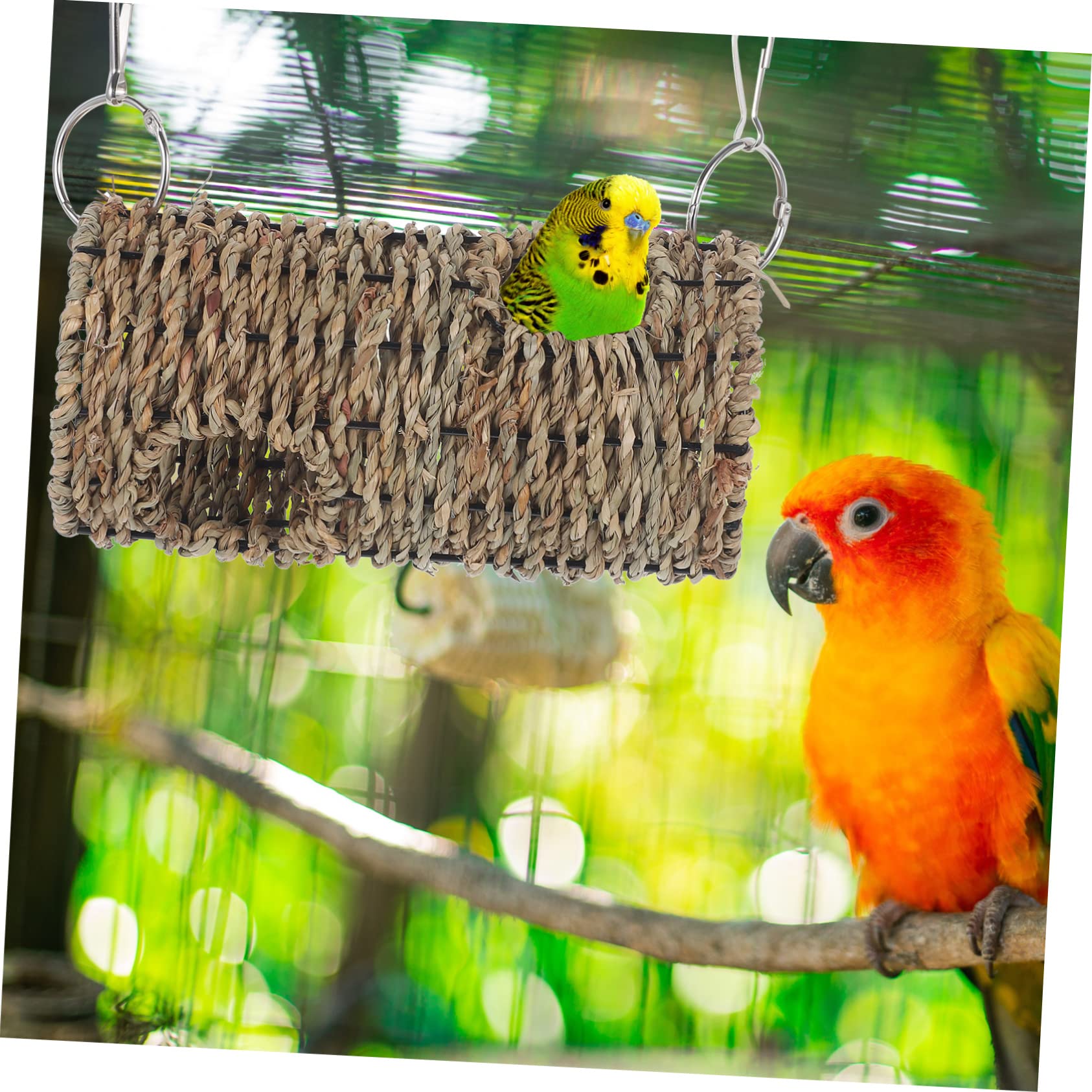 POPETPOP 1 Set Funny Bird of Wear Resistant Parrot Swing Durable Household Accessory for Parrots Creative Design for Interactive Play Enhances Health and Curiosity