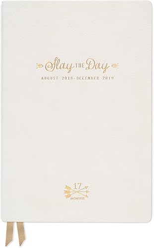 Miniatura 4 de Edición estándar de tinta DesignWorks