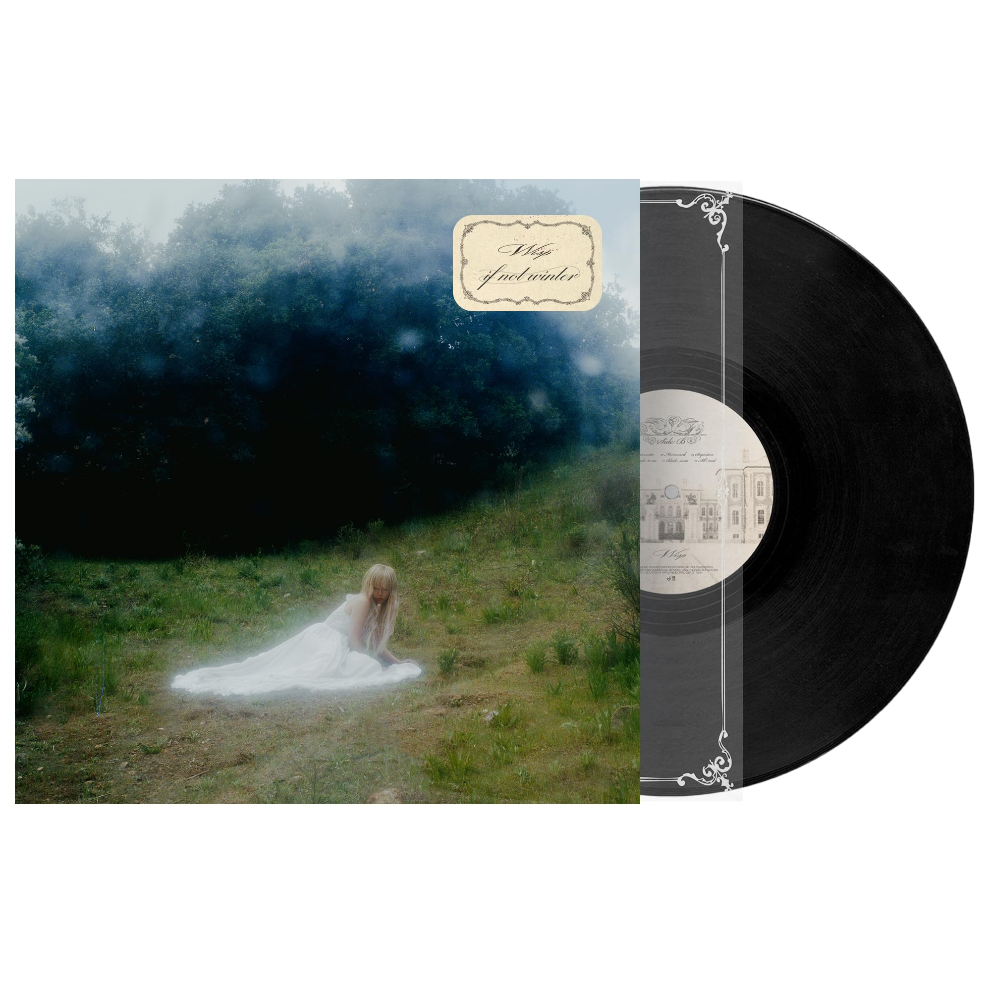 If Not Winter[LP] [Vinyl LP] [VINYL]