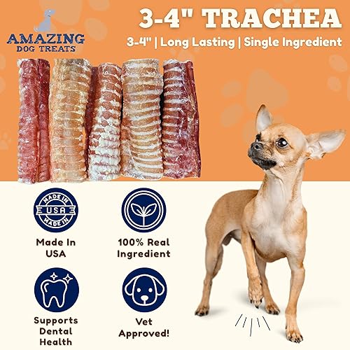 Miniatura 2 de Amazing Dog Treats 3 4 pulgadas traquea de ternera (12 unidades 9.5 oz) masticables premium para perros ideal para razas pequeñas, medianas y