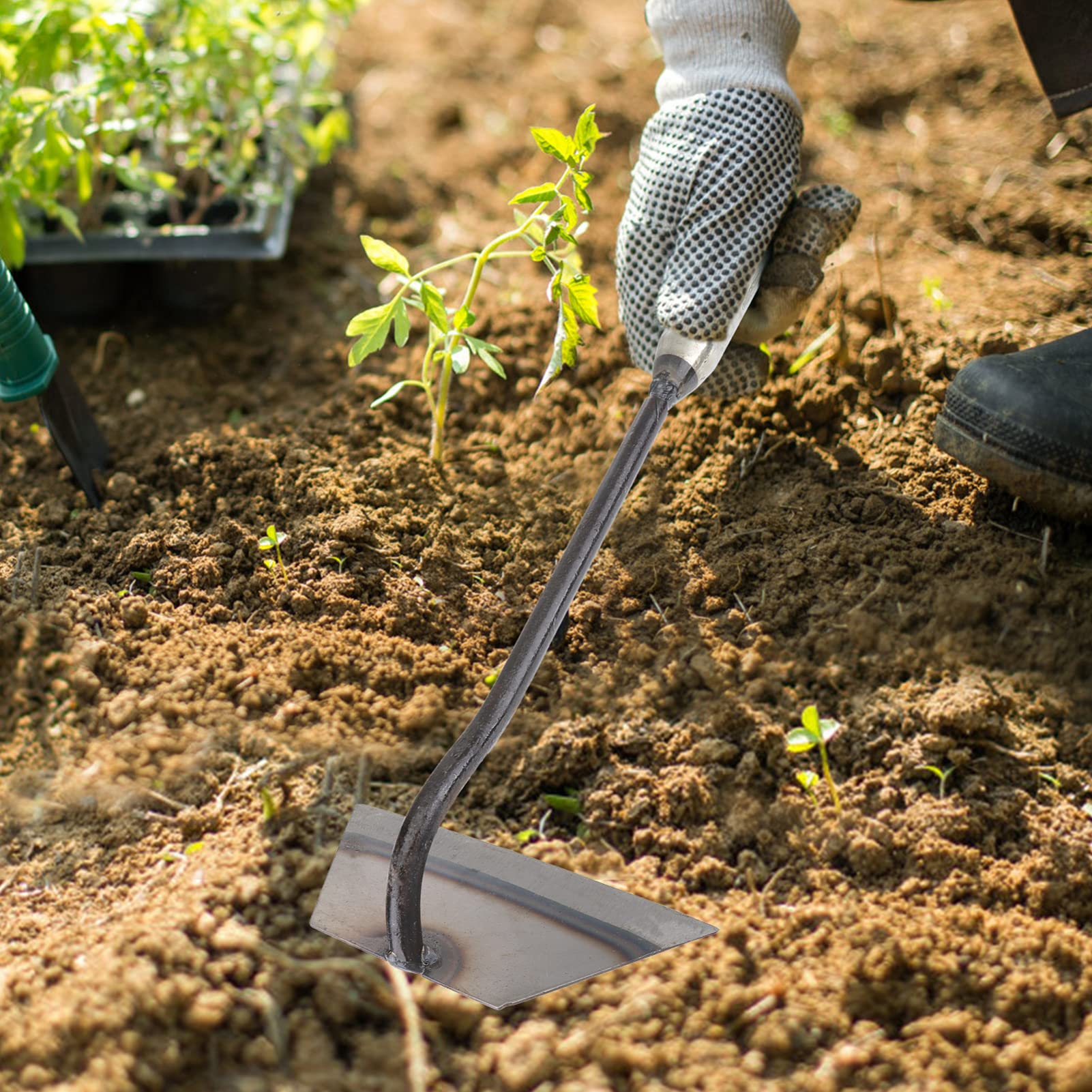 Cabilock 4pezzi Zappe Manuali per Agricoltura Zappe per Coltivazione Durevoli Attrezzi per Aratura per Diserbare e Scavare Tre Stili Diversi