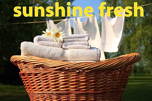 Miniatura 7 de Limpiador líquido a base de plantas de la colada de la colada de la marca K SHE todo en 1 superhipoalergénico + delicados 64oz