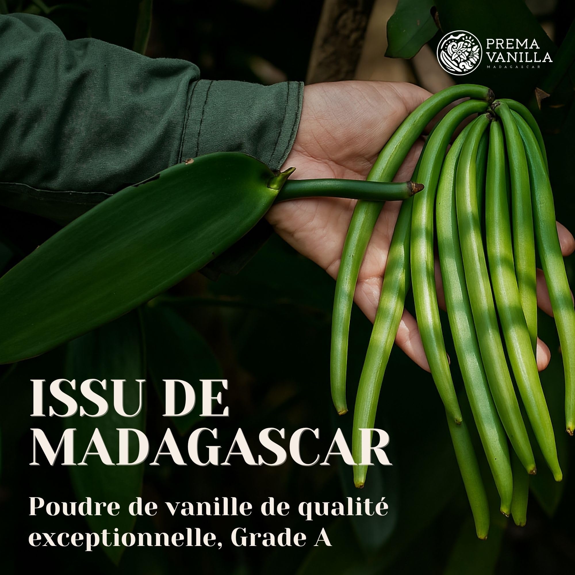 PREMA VANILLA 100g Poudre de Vanille Bourbon Premium – Vanille en Poudre 100% Naturelle et Bio – Fabriquée à partir de Gousses de Vanille de Madagascar – Qualité Gourmet – Arôme Pur et Intense