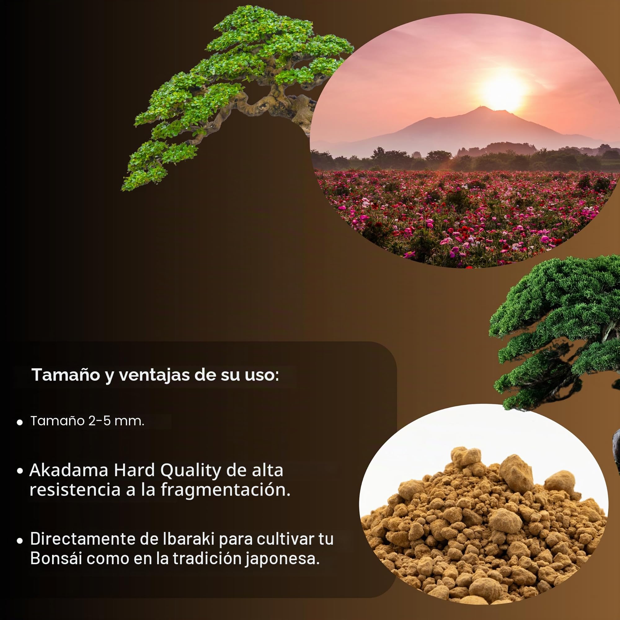 GebEarth - Akadama japonés profesional para bonsai 2-5 mm de 1 l. Equilibrio perfecto de agua, aire y minerales