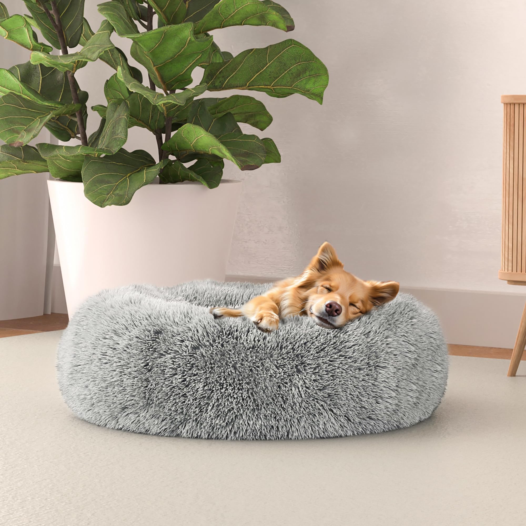Italian Bed Linen Hundebett Dreams sogni e capricci Pets, Perle,50x50cm