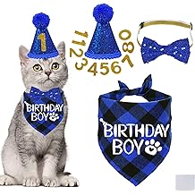 Men eshakda qichqirmagunimcha Porno tomosha qilayotgan mushuk