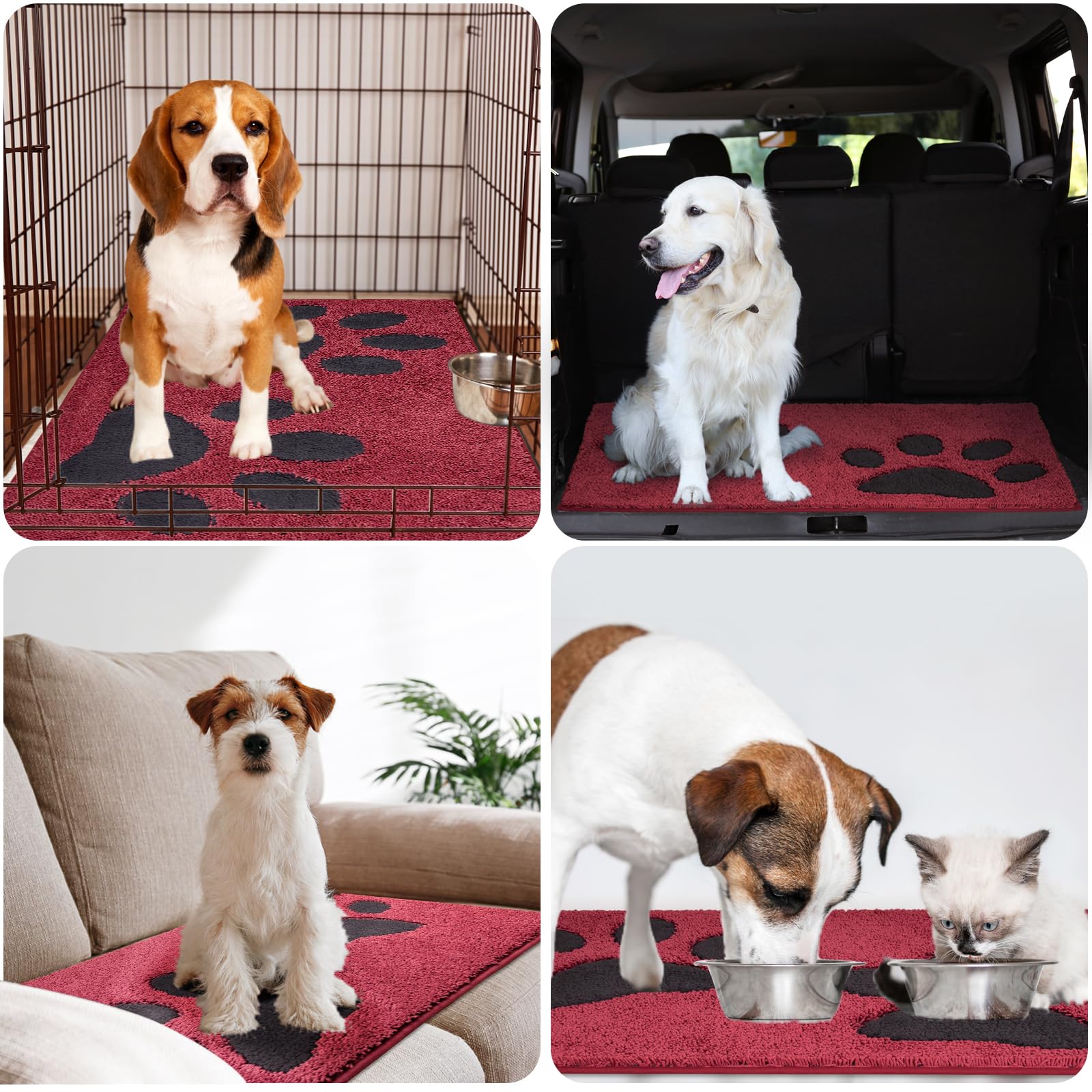 FCSDETAIL Paillasson Interieur Entree 80 x 120 cm, Tapis d'Entrée Antidérapant et Lavable en Machine, Tapis de Sol Douces Absorbantes pour Chien, Entrée, Porte, Couloir FCSDETAIL Paillasson Interieur Entree 80 x 120 cm, Tapis d'Entrée Antidérapant et Lavable en Machine, Tapis de Sol Douces Absorbantes pour Chien, Entrée, Porte, Couloir