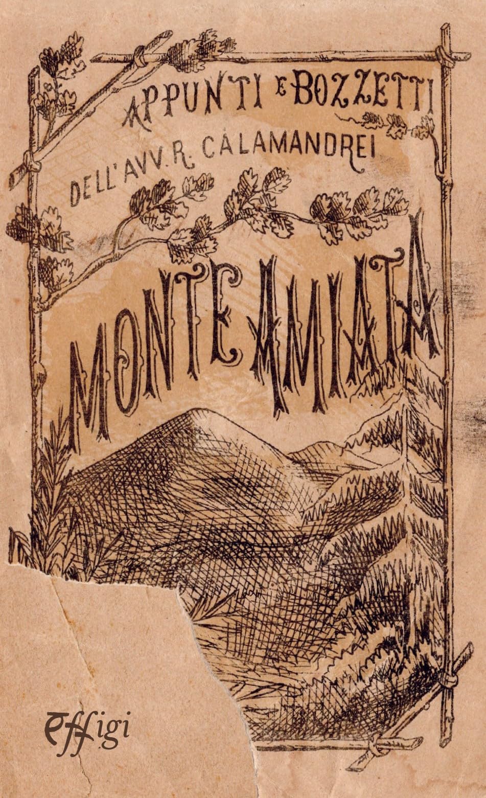 Monte Amiata - 4