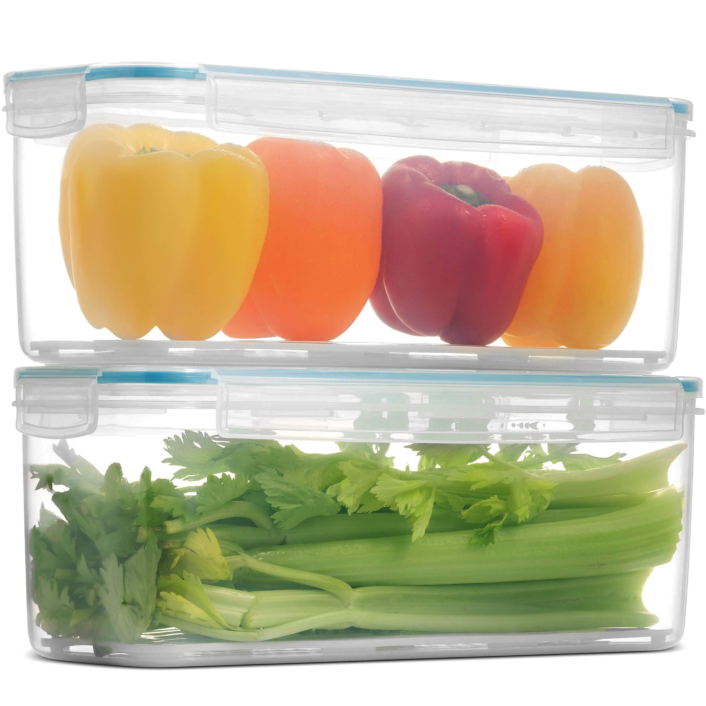 Komax Biokips Fridge Storage Containers Airtight Fridge Organizers and Storage Clear