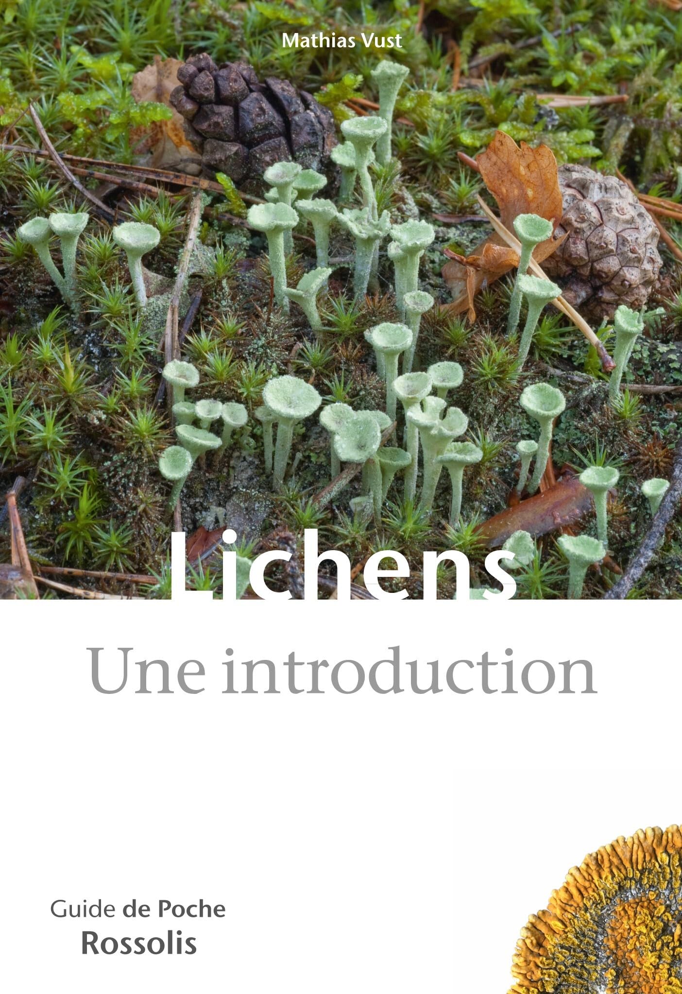 Lichens, Une introduction: 165 espèces de lichens aisément reconnaissables sur le terrain, en plaine comme en montagne