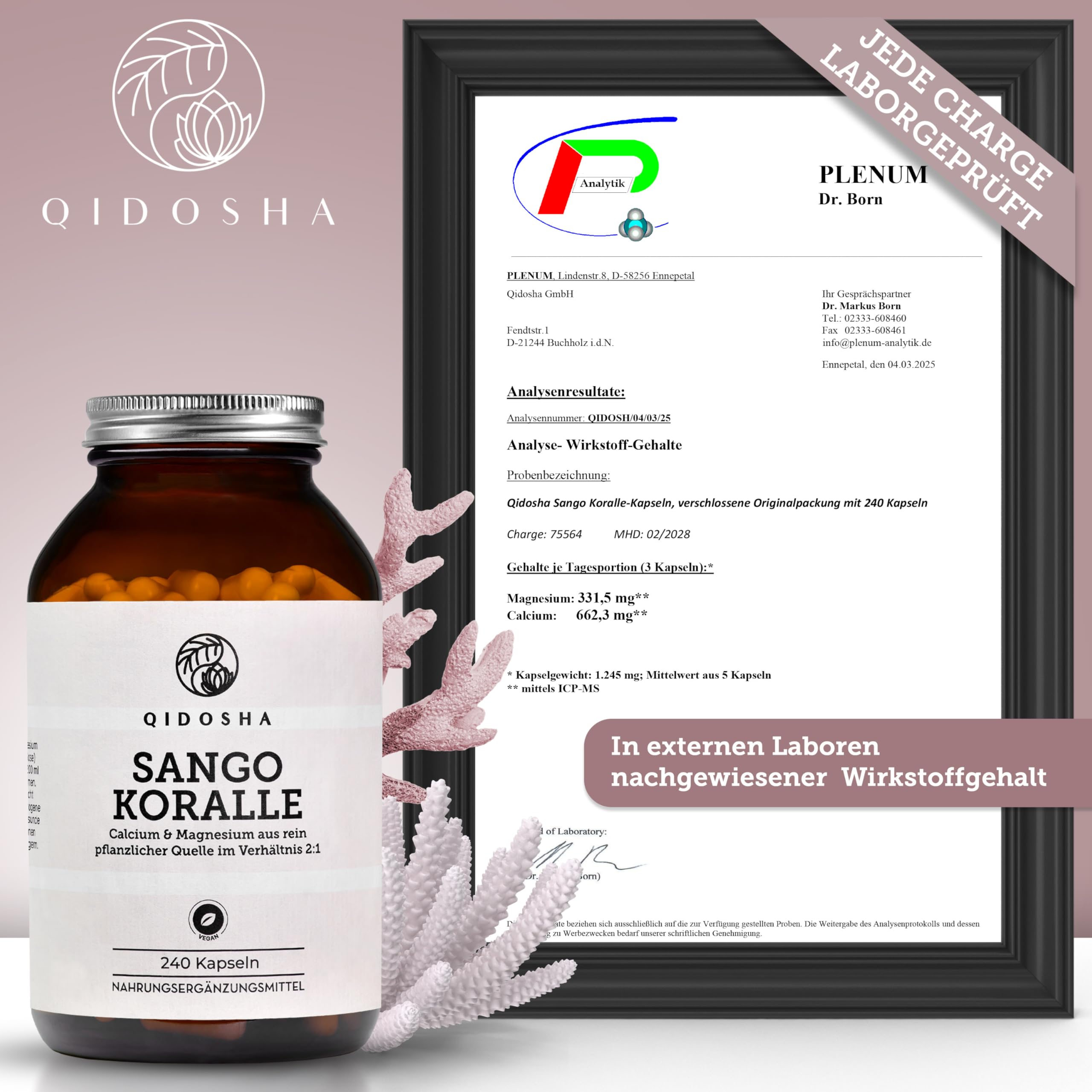 QIDOSHA® Sango Meereskoralle Kapseln, 240 Stk/Glas, hochdosiert mit 660mg Calcium & 330mg Magnesium (optimales 2:1 Verhältnis), nachhaltige Ernte, deutsche Fertigung, jede Charge laborgeprüft