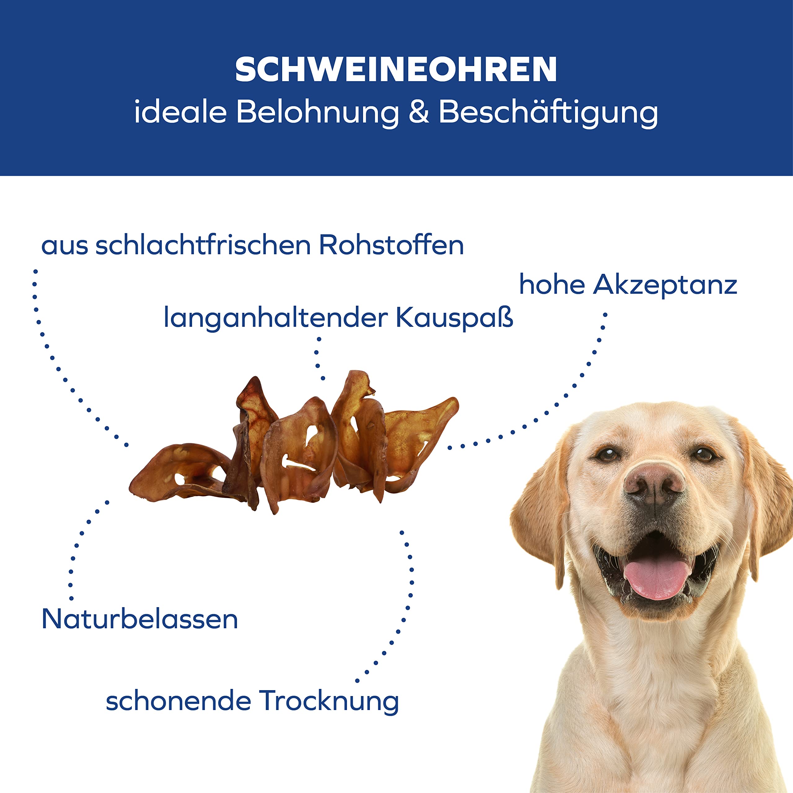 Friandises pour chien oreilles de porc séchées dentition forte et propre