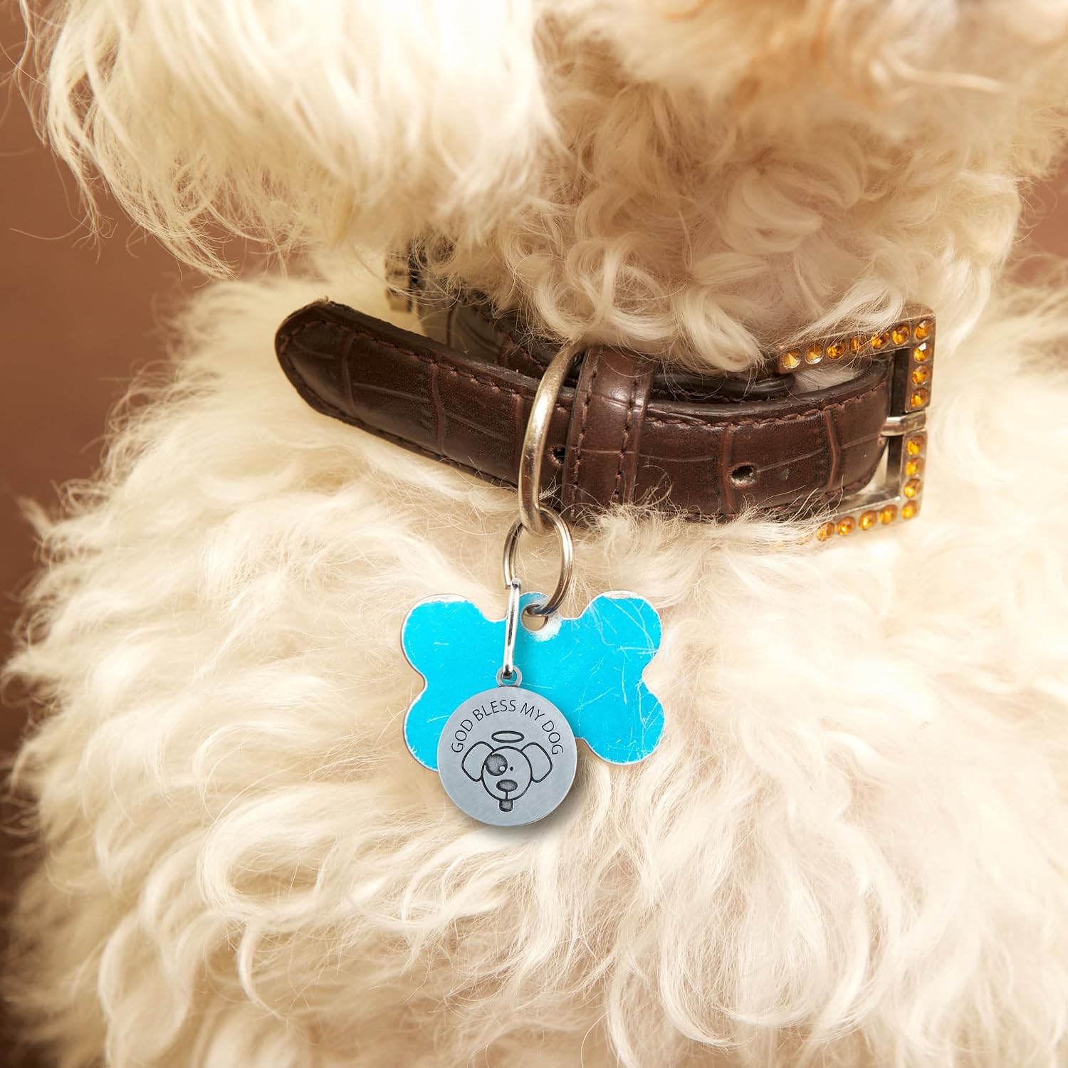 Needzo St. Francis Pet Medal, Zinc Alloy Dog Collar Pendant, Patron Saint of Animals, Keepsake Gifts, 1 Inches (Pack of 3)