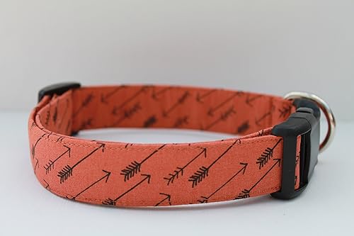 Modern dog collars Clearance