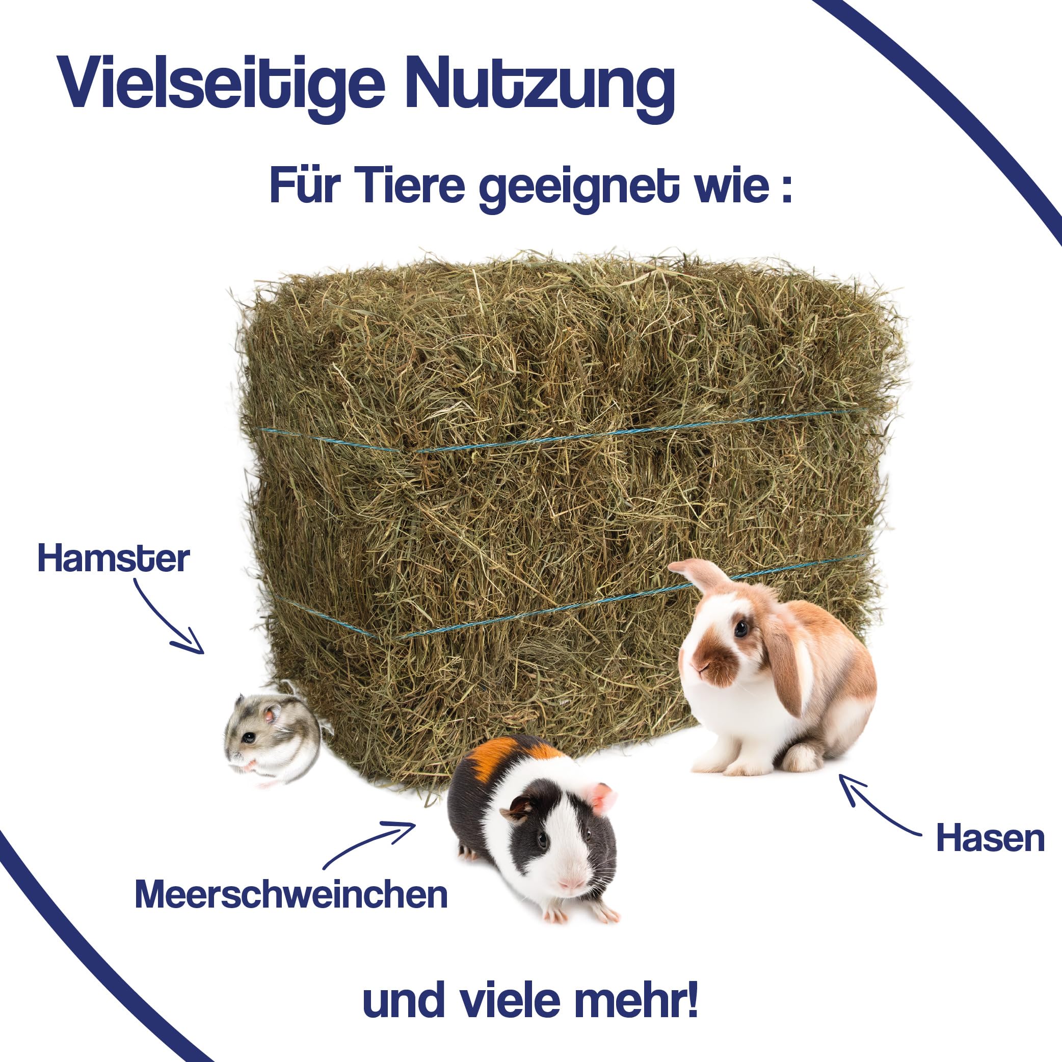10 kg Heuballen - Kaninchen Heu für Meerschweinchen, Hamster und Hasen - Wiesenheu als Kleintierheu, auch geeignet als Deko Heu für Heu Deko - Heu Ballen direkt aus Bayern