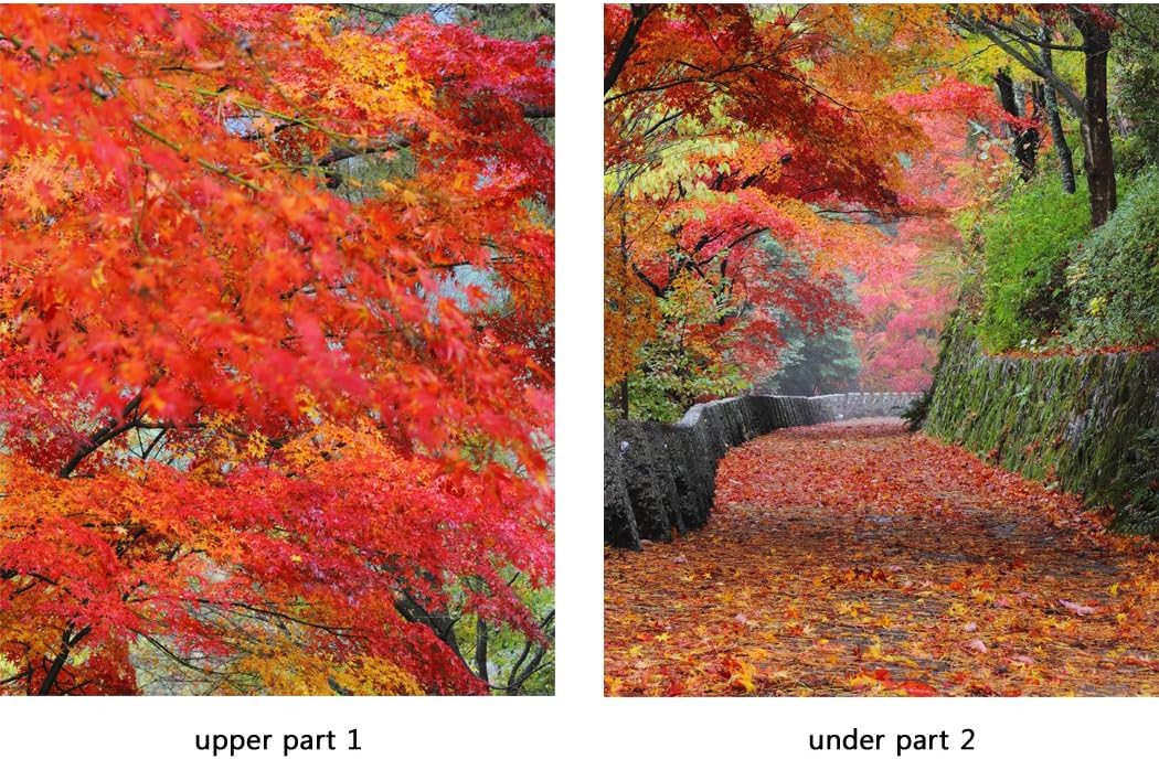 Door Wall Sticker Autumn Leaves on The Walkway - Peel & Stick Repositionable Fabric Mural 31" w x 79" h (80 x 200cm)