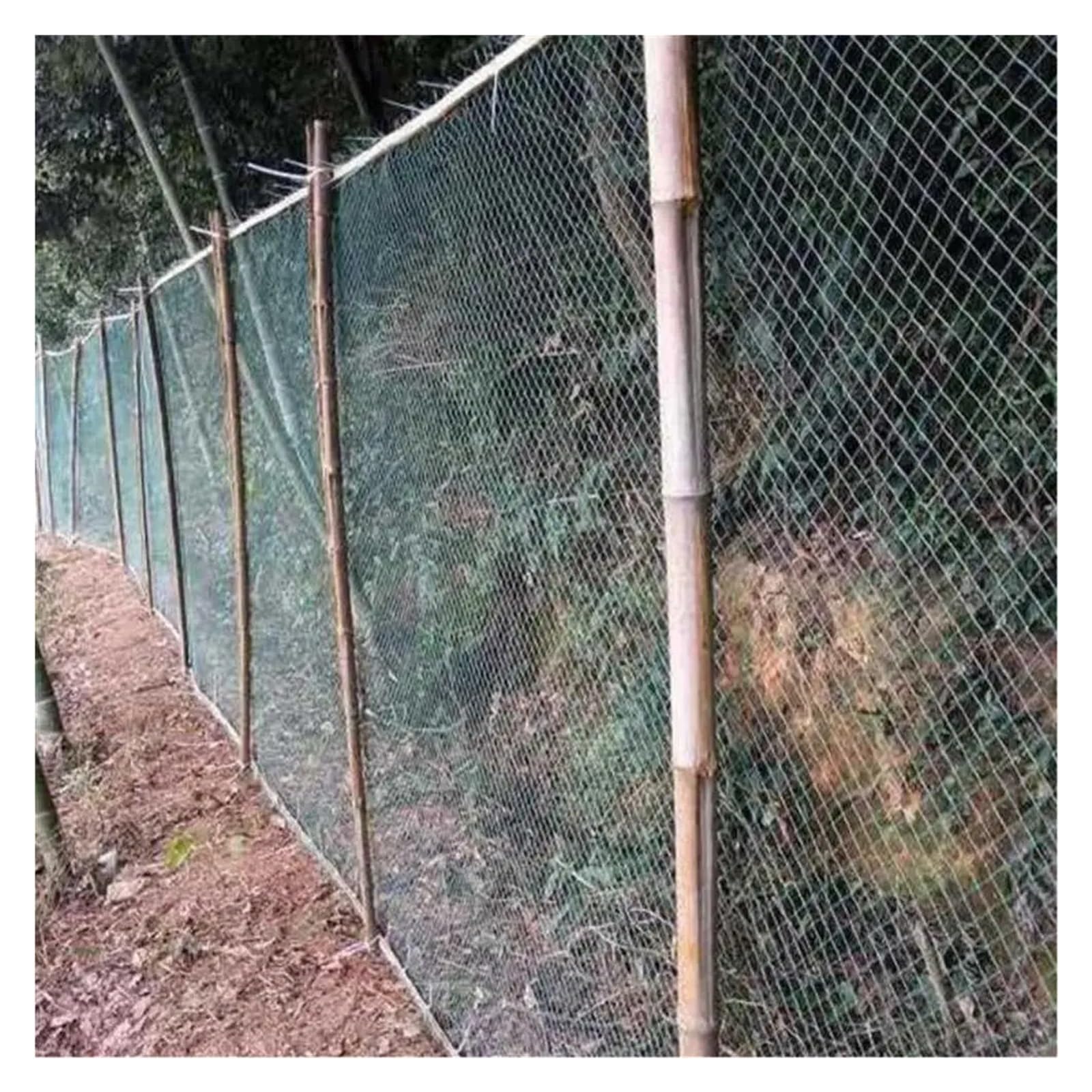 Red de malla antipájaros resistente para protección de jardín, 5 m x 10 m, 36 agujeros (10 cm), ideal para cultivos, plantas, ciervos, perros, gatos, pollos y pesca