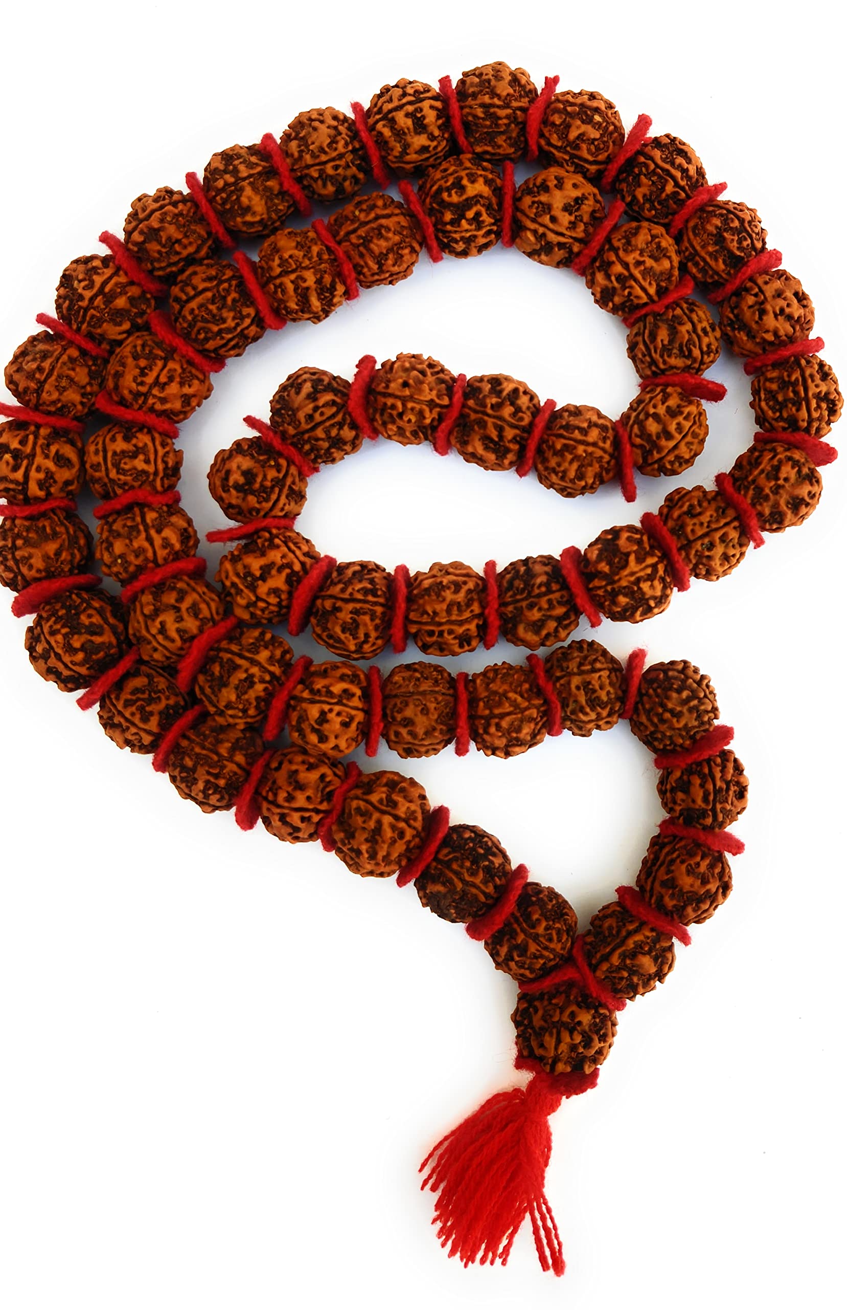 5 Mukhi Rudraksha Mala - Natural & Lab Certified -15