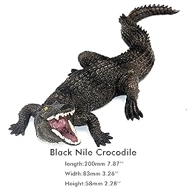 FUNSHOWCASE African Jungle Animals Black Nile Crocodile Toy Figure Realistic Plastic Figurine Height 2.5-inch