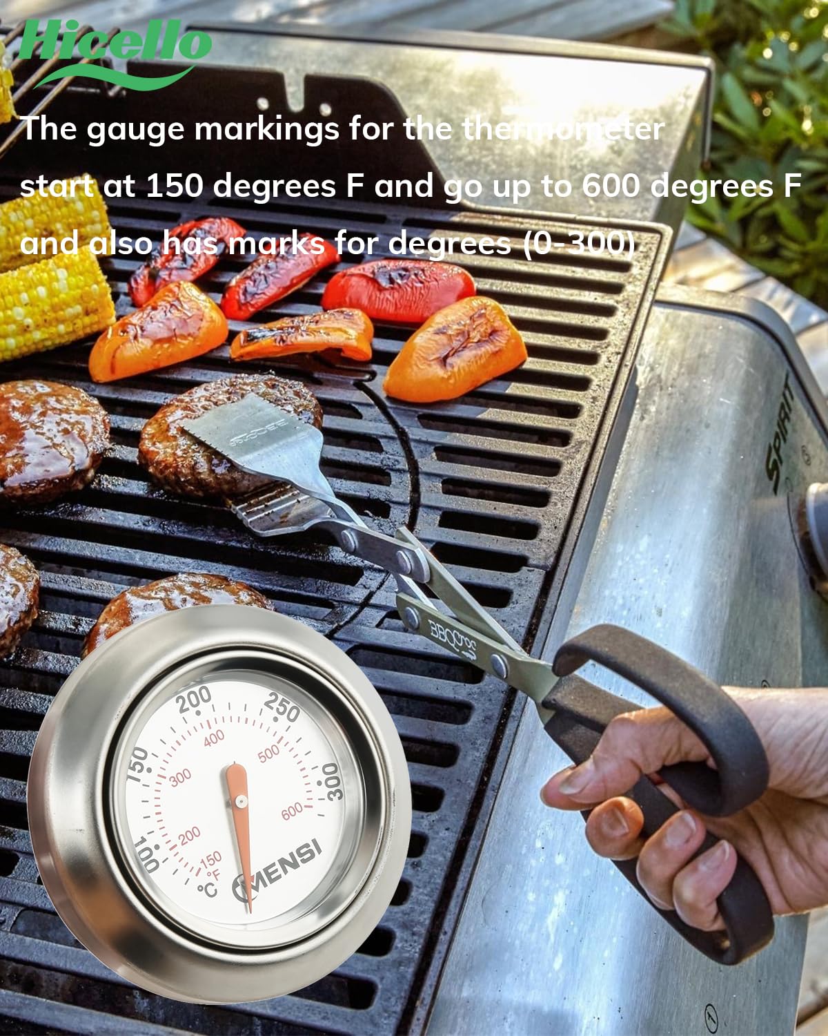 Termometro Analogico Per Barbecue, Resistente