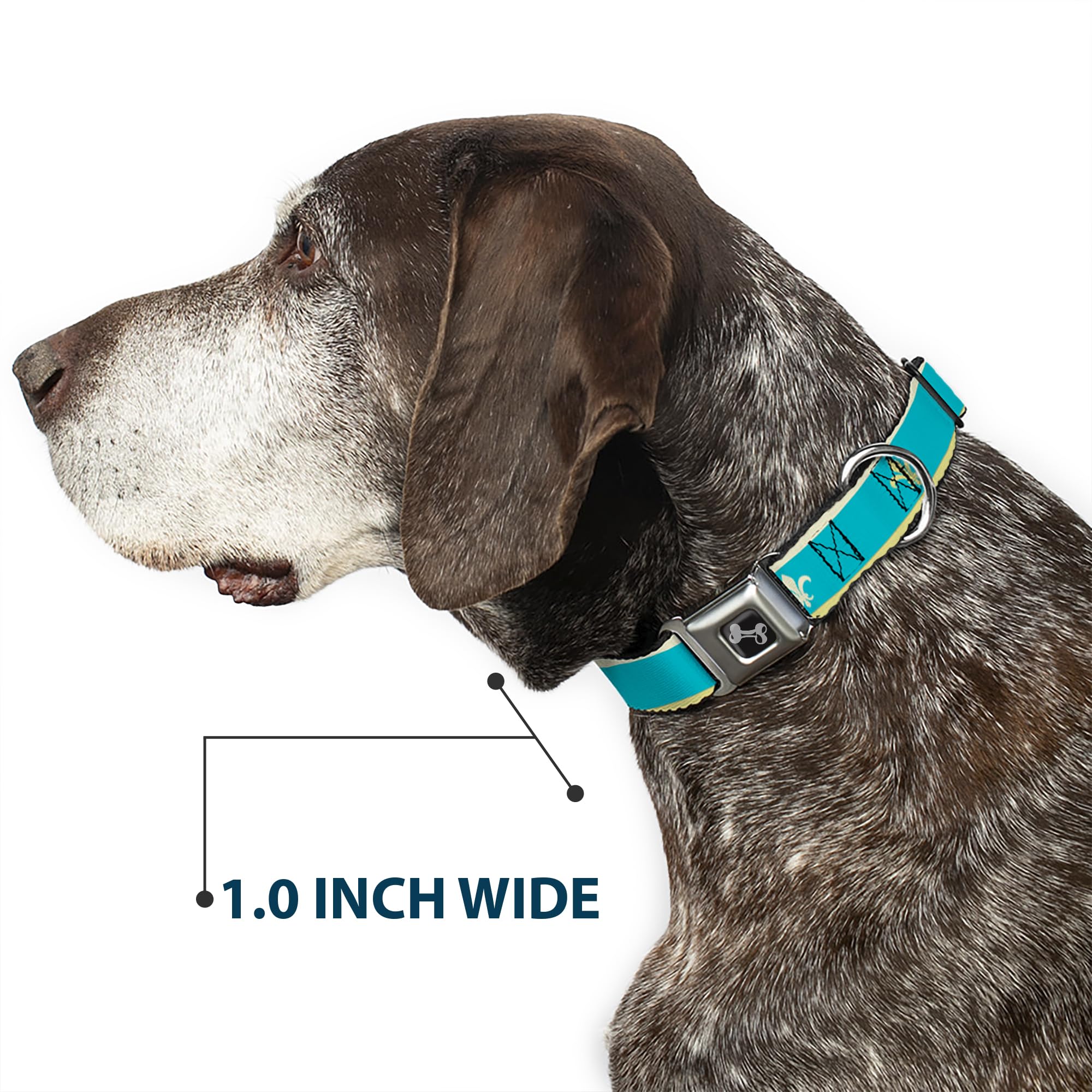 Buckle-Down DC-W30634-WS - Cinturón de Seguridad para Perro, Talla S, Color Azul, Verde Lima