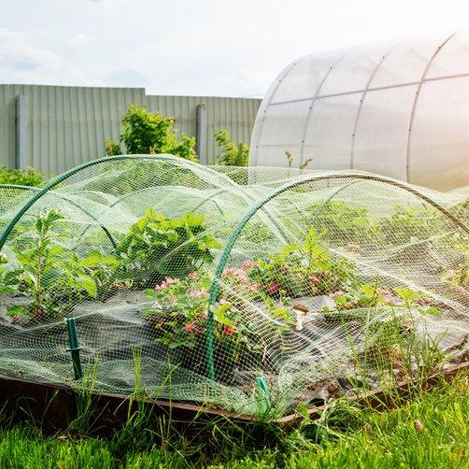 Malla De Red Para Plantas Barrera transpirable para animales