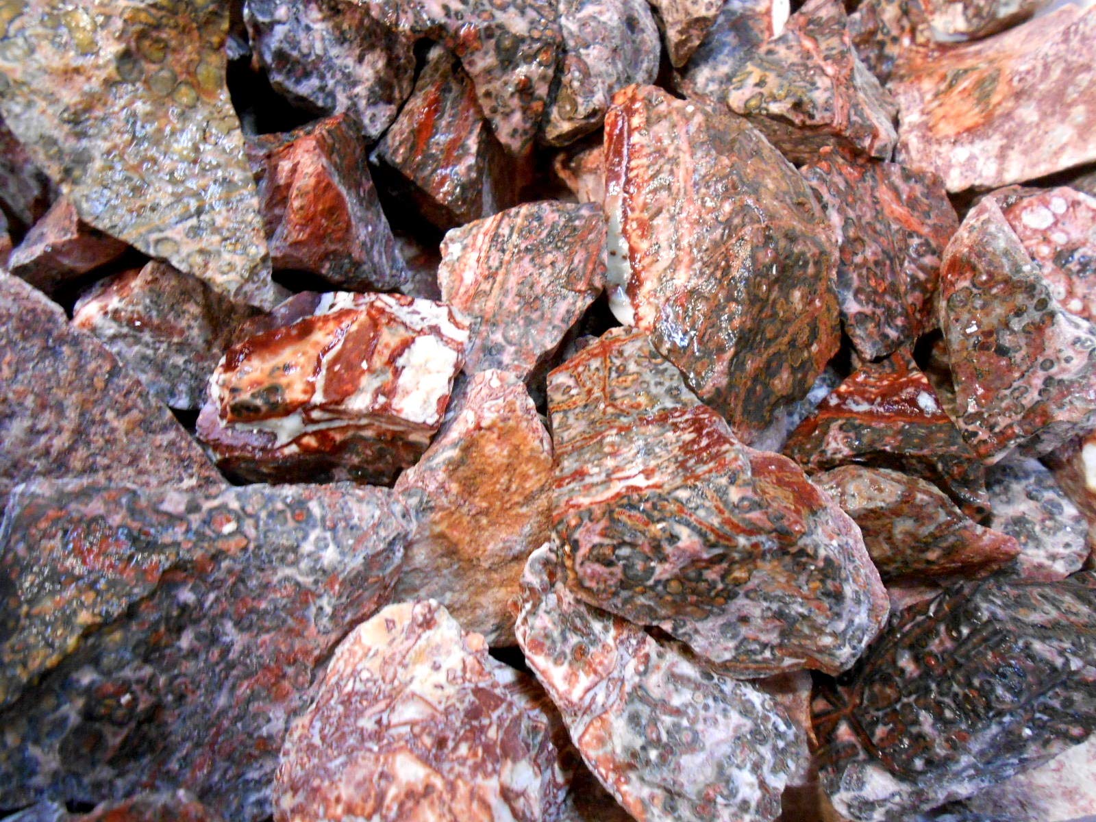 Rockhound's 1st Choice Rock Tumbler Gem Refill Kit -Mexico Red Leopardskin Jasper Rough- 8oz