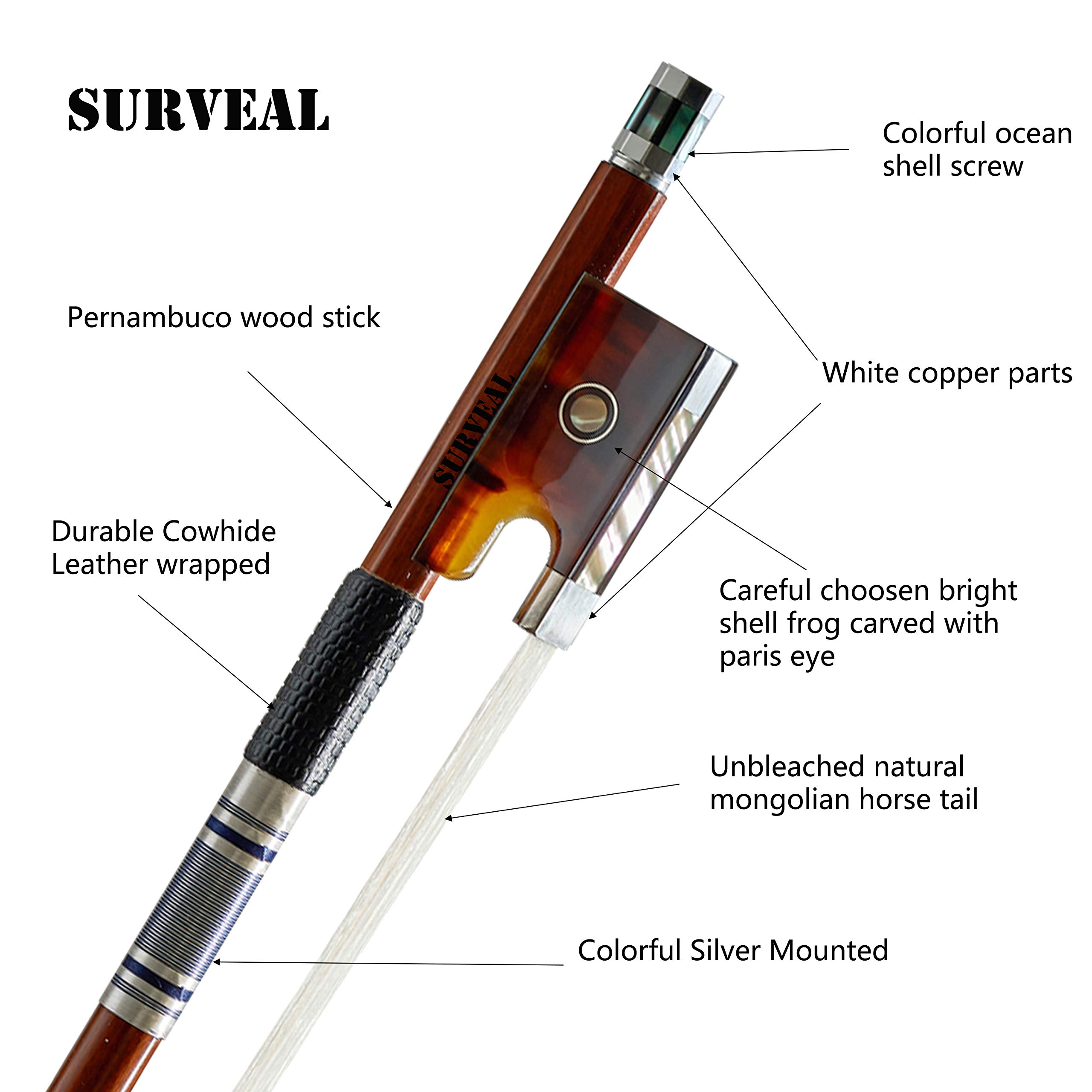 Archetto Per Violino "CV Selectio" (pernambuco) - Violins - Foto 11