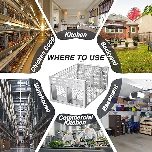 Miniatura 7 de Trampa para ratas, trampa humana para ratas vivas y restablecimiento automático para ratones con diseño de puerta unidireccional dual, captura y