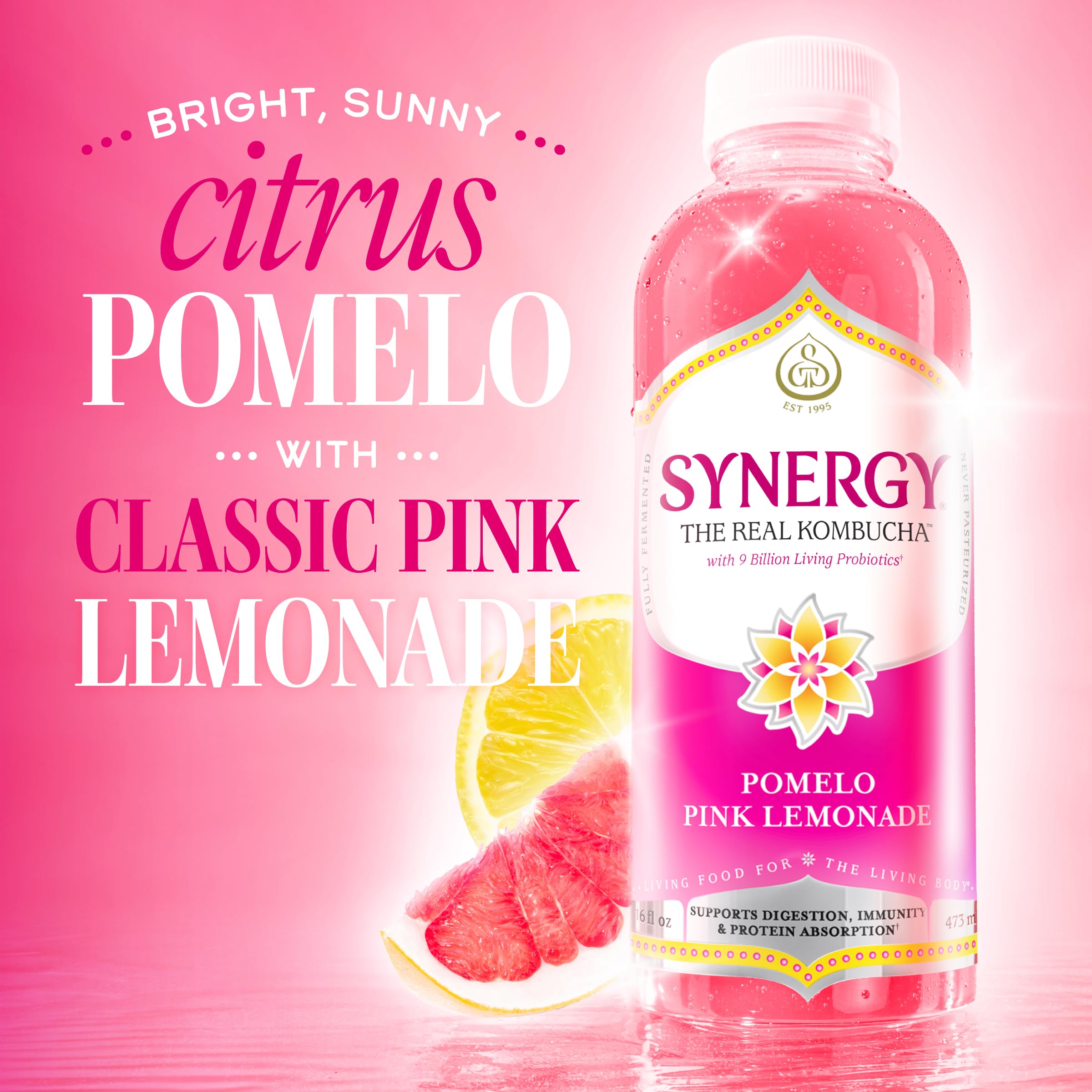 ASギムノカリキウム　ミハノビッチID：Pomelo Pink Princess ASギムノカリキウム ミハノビッチID：Pomelo Pink Princess Pomelo