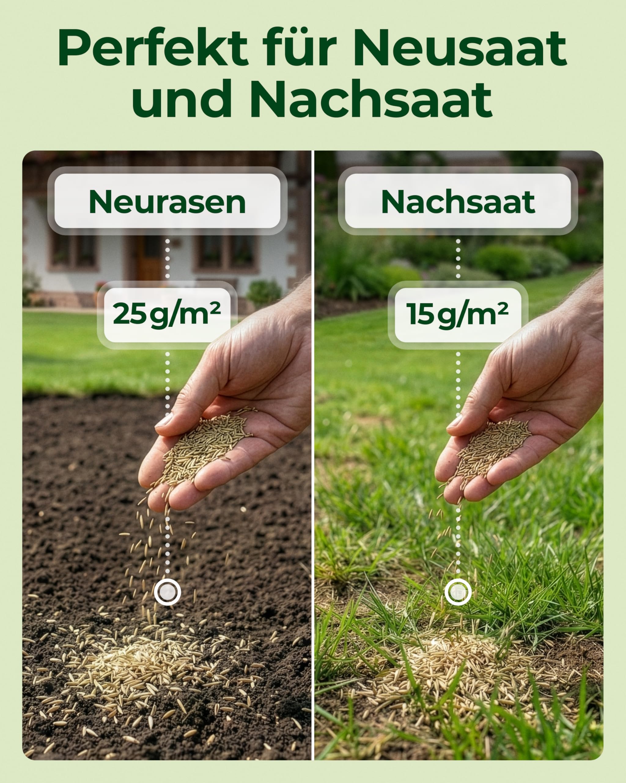 Rasensamen schnellkeimend Sommer 1kg – TEST SEHR GUT – Grassamen schnellkeimend Rasen Nachsaat Made in Germany – Rasensaat 40qm - Rasensamen Sommer Samen von Natureflow