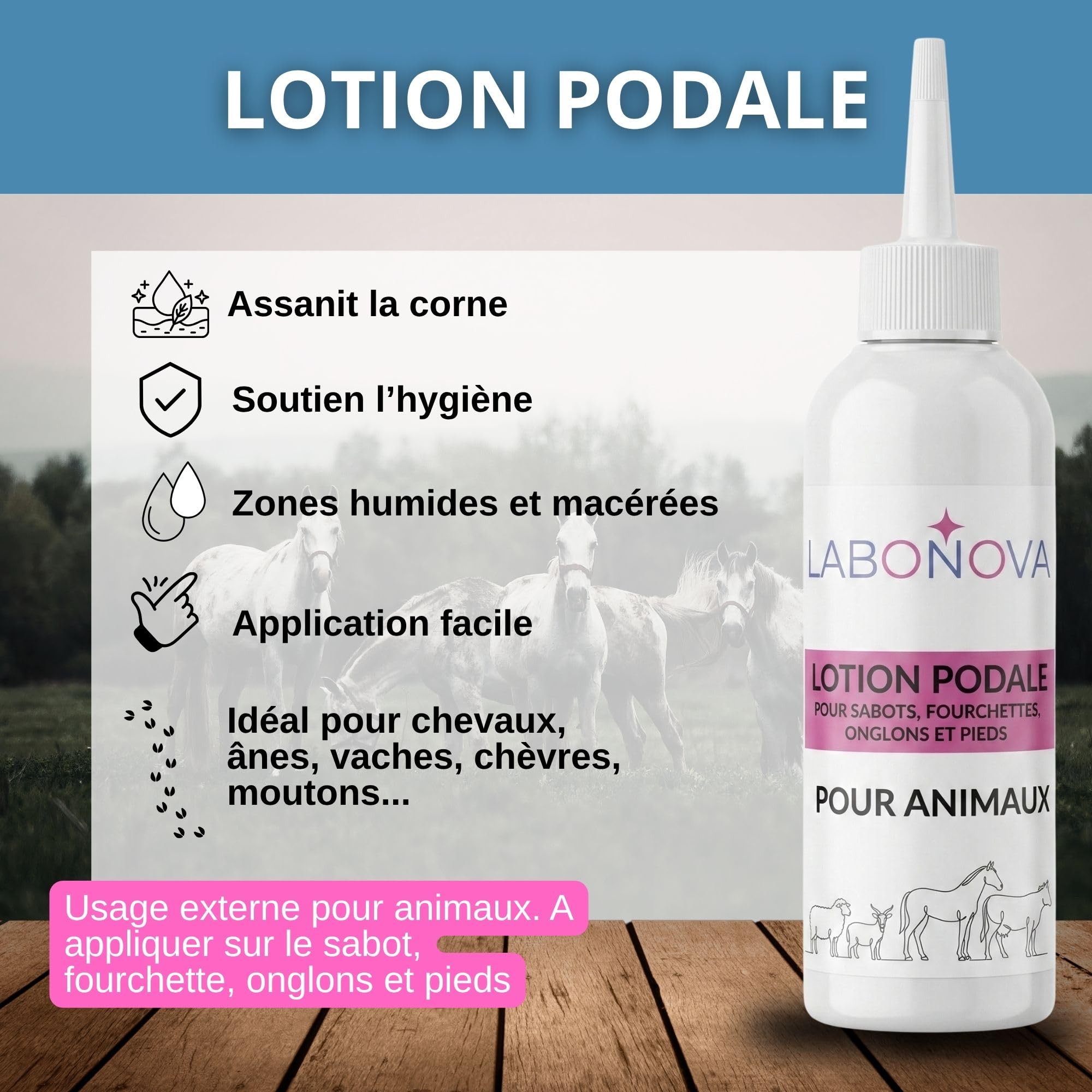 Lozione Podale Zoccoli, forchette e Unghiere con Solfato di Rame & Tea Tree – Cavalli, Asini, Mucche, Capre, Pecore