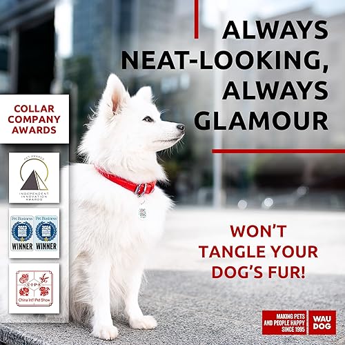 Miniatura 7 de WAUDOG Collar de cuero enrollado ultrasuave para perros pequeños, collares acolchados suaves para perros medianos, collares de cachorros para perros