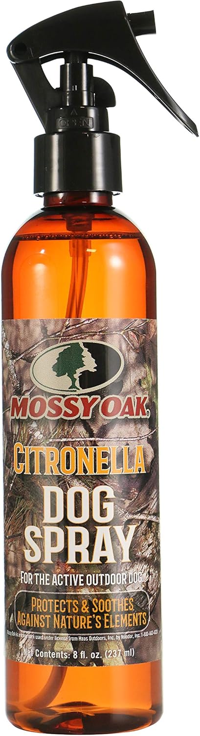 cat tree replacement perch