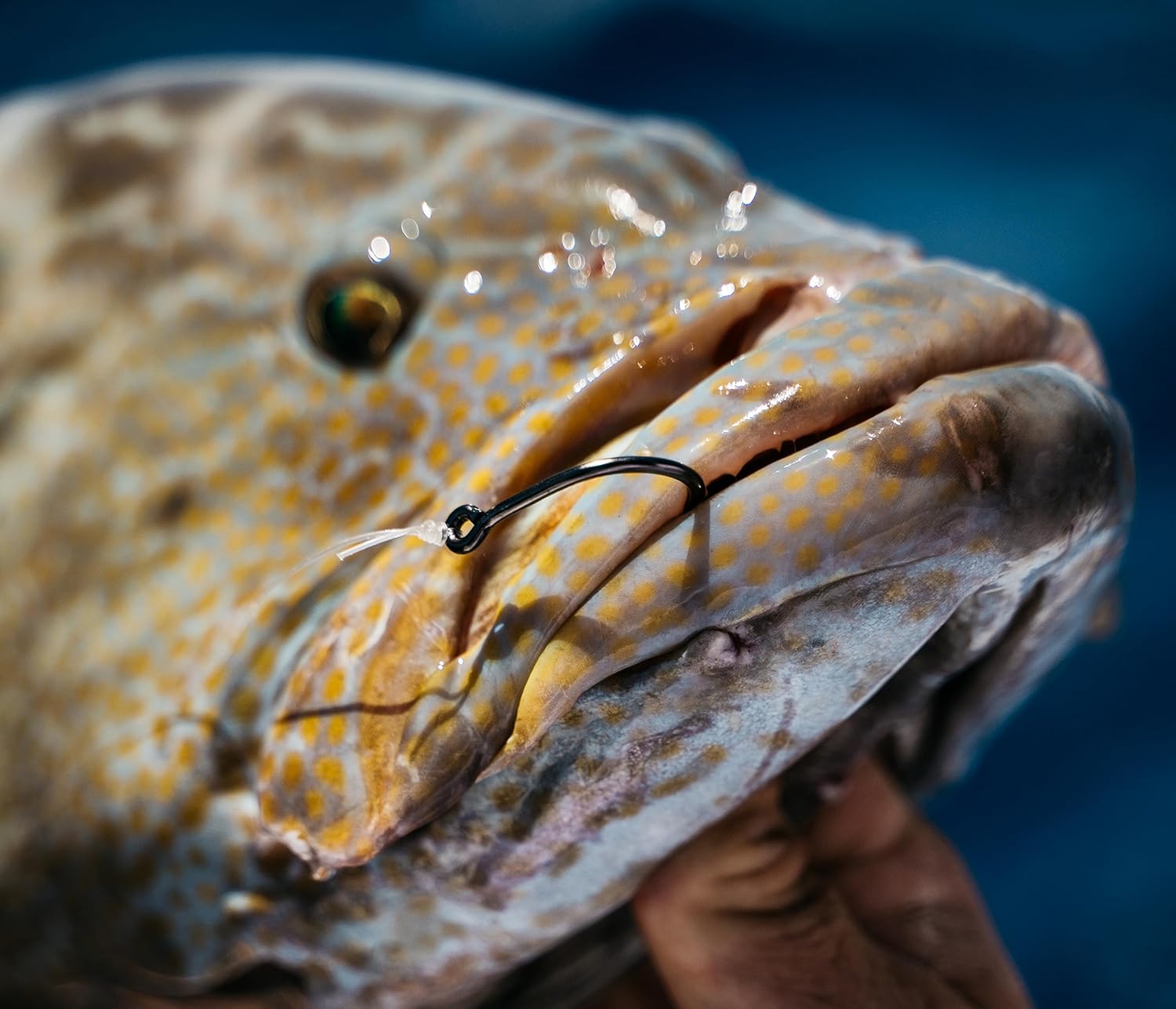 Mustad Demon Offset Circle Hook, 3X Strong - Black Nickel, 25pk