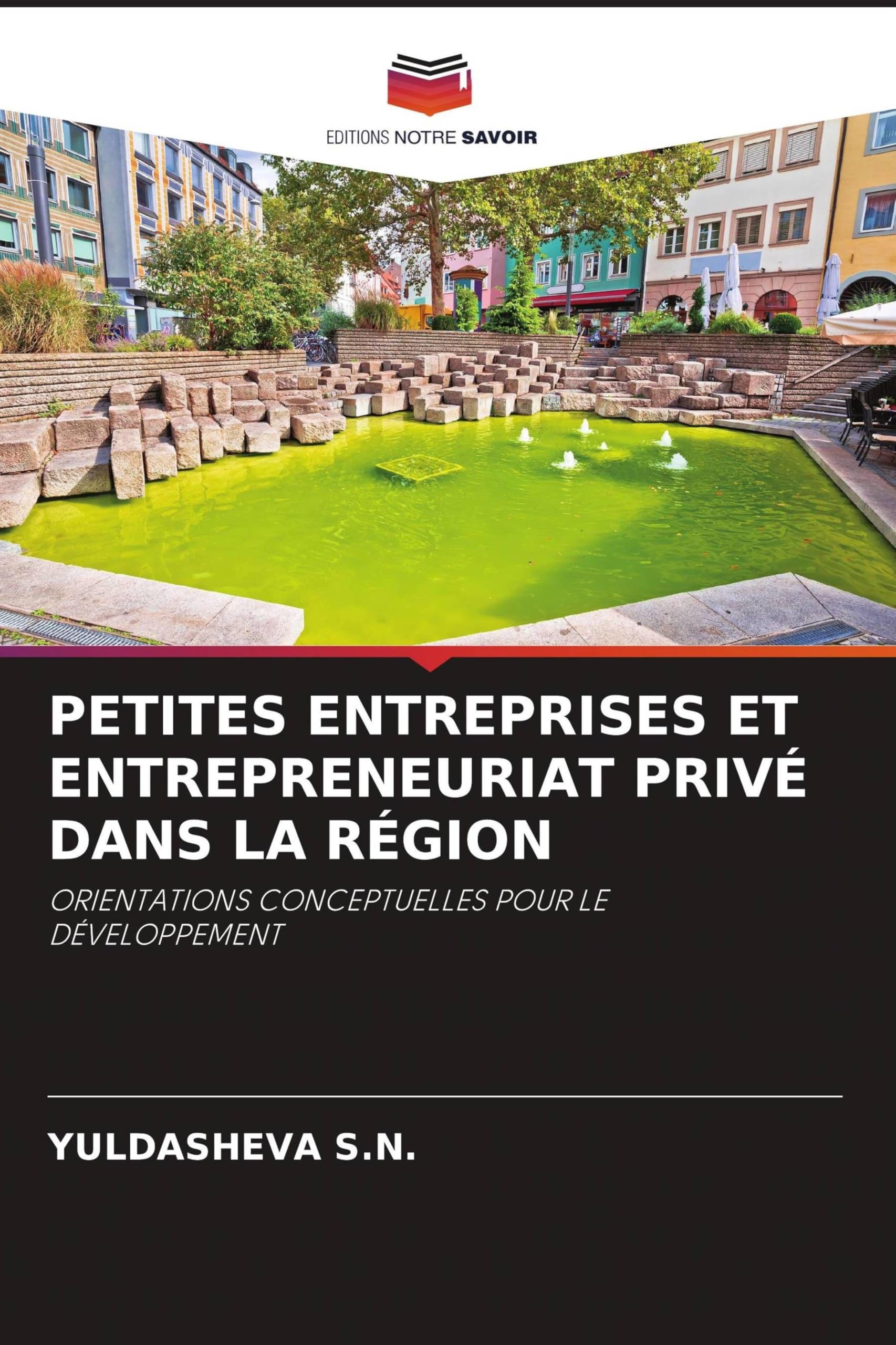 Petites Entreprises Et Entrepreneuriat Privé Dans La Région: ORIENTATIONS CONCEPTUELLES POUR LE DÉVELOPPEMENT
