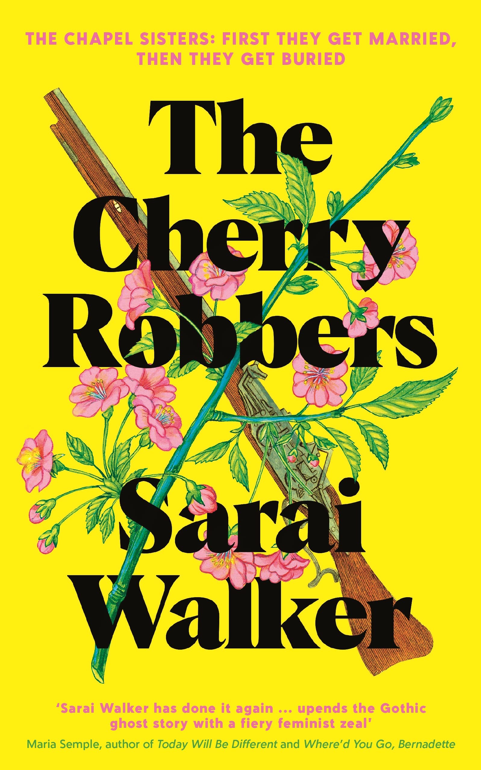 Buy The Cherry Robbers — BookShops.in