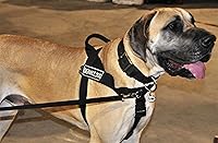 Vista 4 de Dean & TylerDT universal no Tire Arnés del perro con parches de velcro, Fits cincha Tamaño 21-inch-26-inch, color negro, xs, Negro