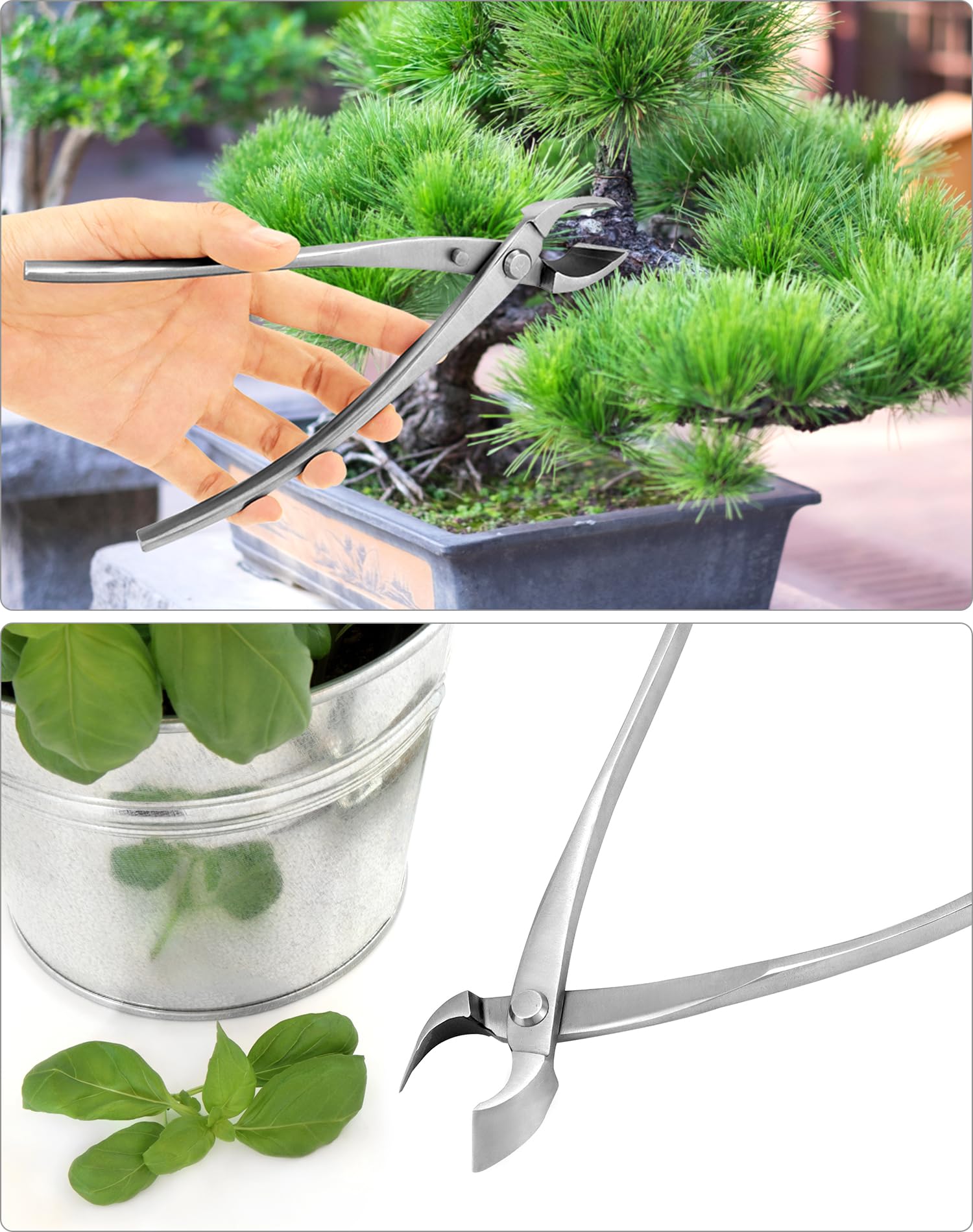 QWORK® Taglierina concava in Acciaio Inox - 21 cm - Strumento Bonsai per la potatura dei Rami dei Bonsai