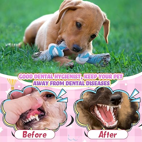 Miniatura 5 de Paterr Juguetes de cuerda para perros, juguetes multicolor para cachorros, juguetes de algodón para cachorros, juguetes para masticar cachorros,