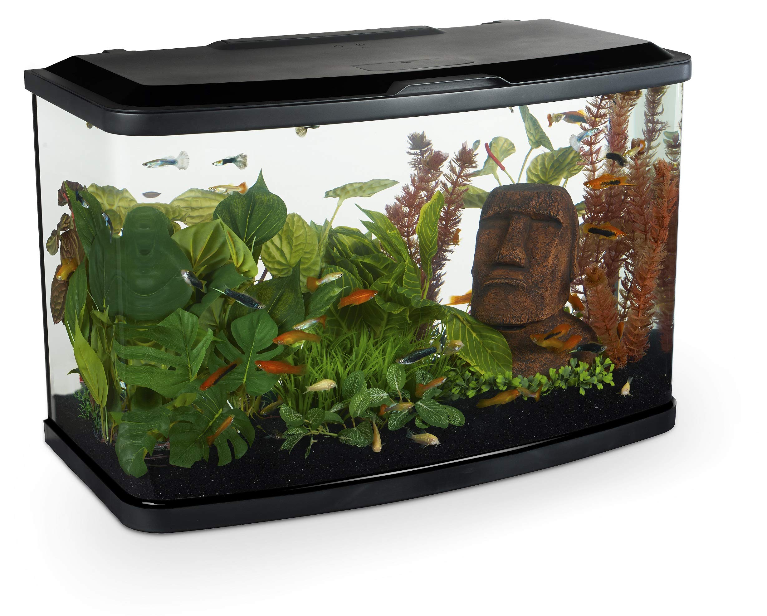 Marina Vue 60 Aquarium