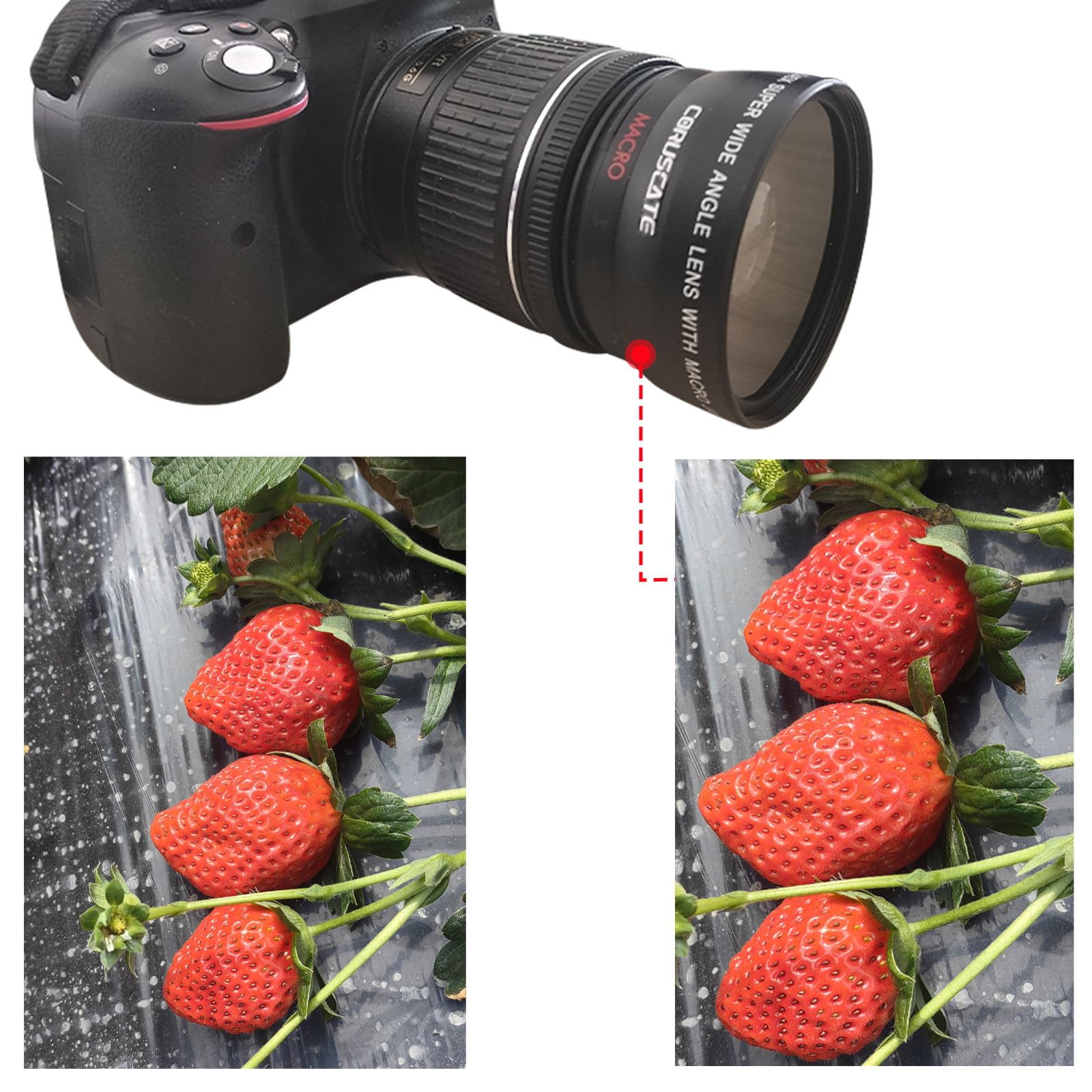 Obiettivo grandangolare da 55 mm 0,45x, con fotografia macro, ingrandimento migliorato, compatibile con tutti gli obiettivi della fotocamera DSLR da 55 mm + 1 panno per la pulizia dell'obiettivo