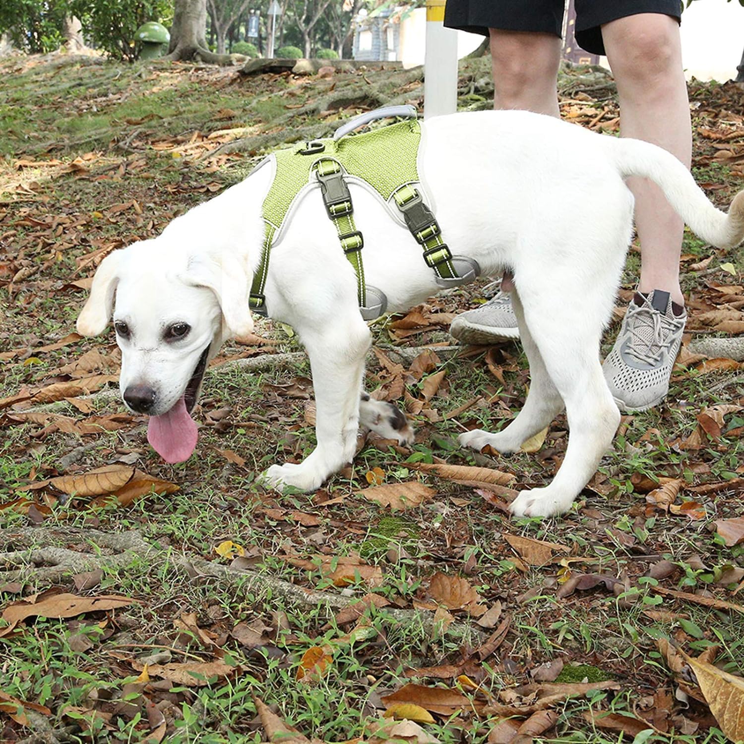 Pettorina multiuso per cani, a prova di fuga, senza tirare, riflettente e regolabile, con manico resistente, imbracatura per cani grandi e attivi