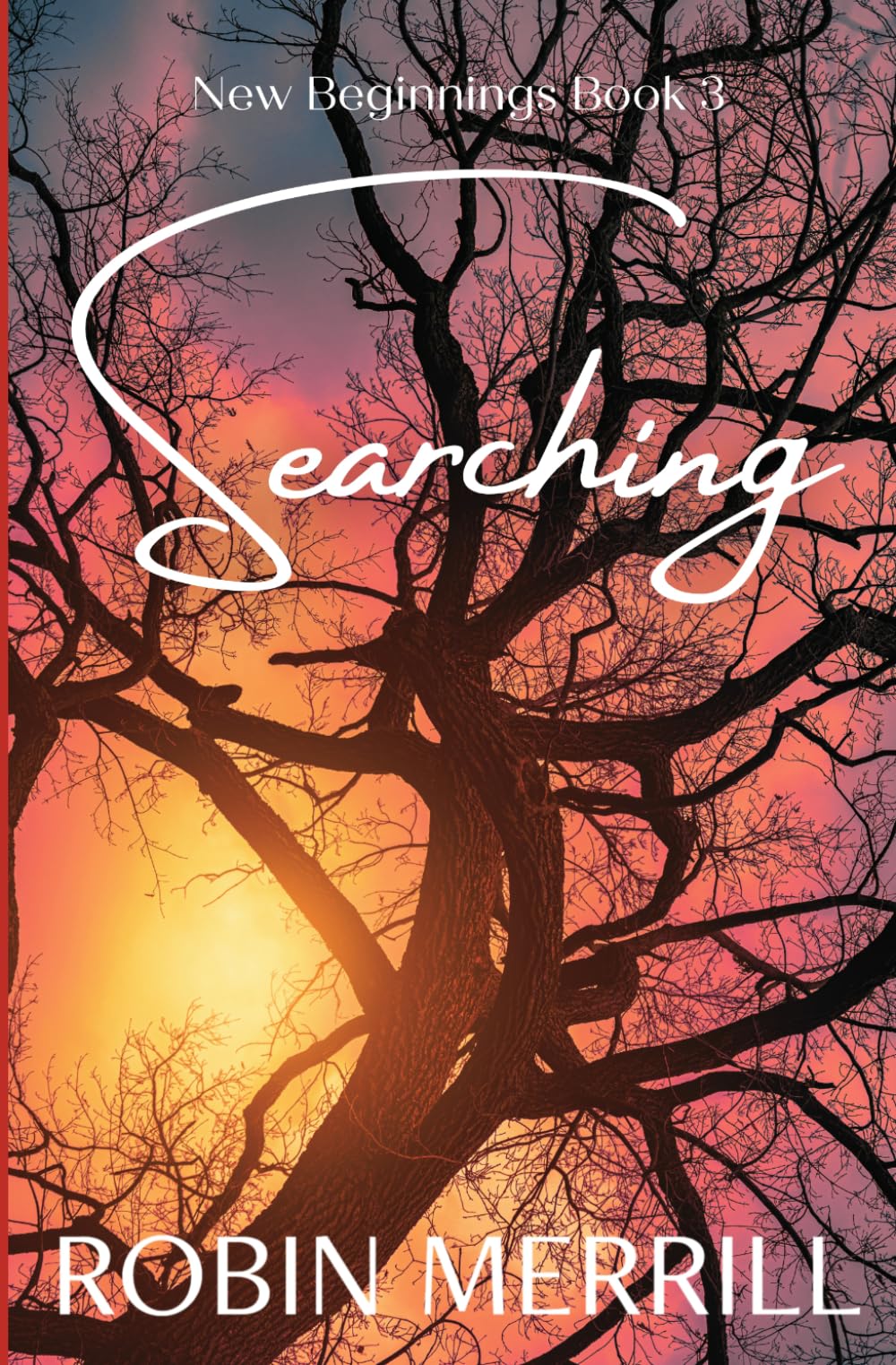 Searching (New Beginnings Christian Fiction Series)