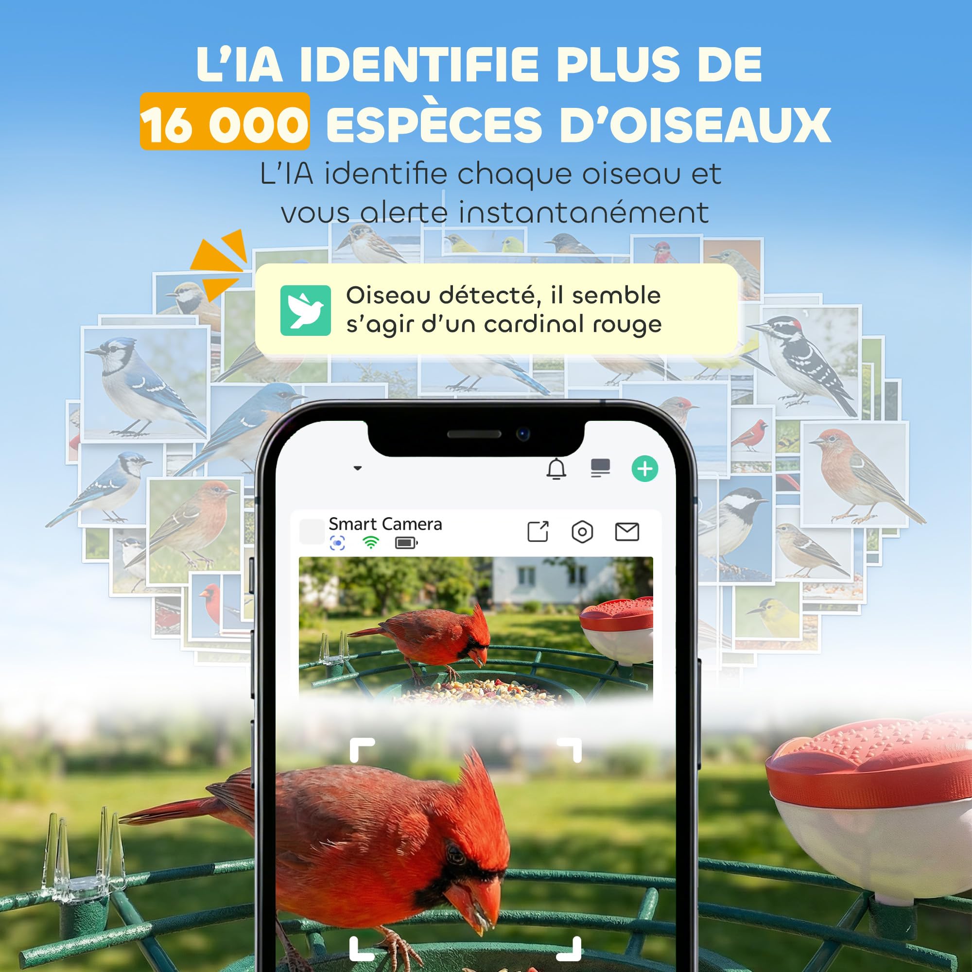 PawHut Comedero para pájaros con cámara inteligente 2K 142° - carcasa de acero antiardillas, panel solar - comedero para pájaros exterior, identificación IA 16000+, aplicación, SD 32 GB, jardín, verde | Anti-ardilla, Panel Solar, Comedero Aves Exterior, I