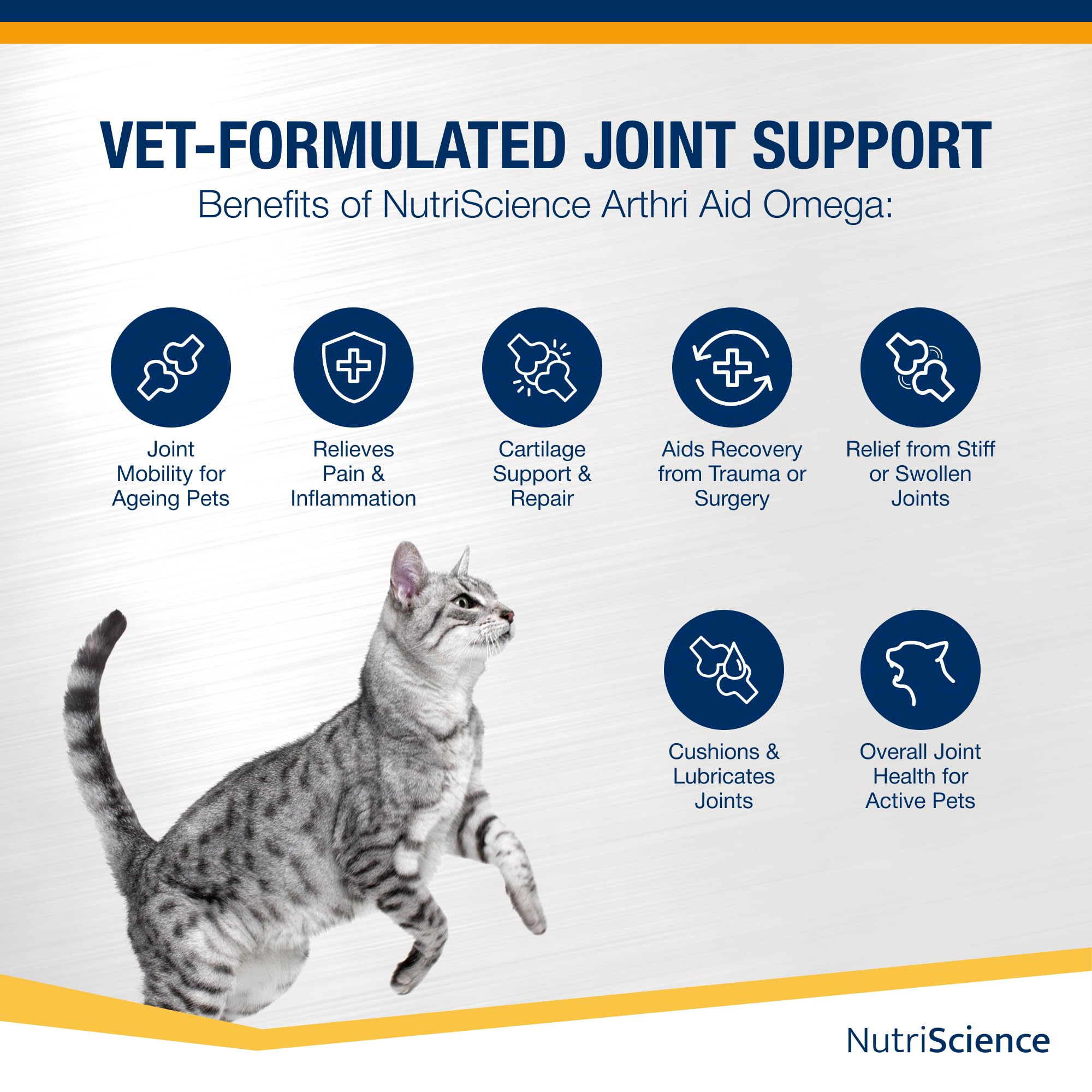 NutriScience ArthriAid Omega Cat Gel – Saveur saumon, complément pour articulations des chats (50 ml) – Avec glucosamine, chondroïtine, MSM et oméga 3 – Soutient la santé et la mobilité articulaires